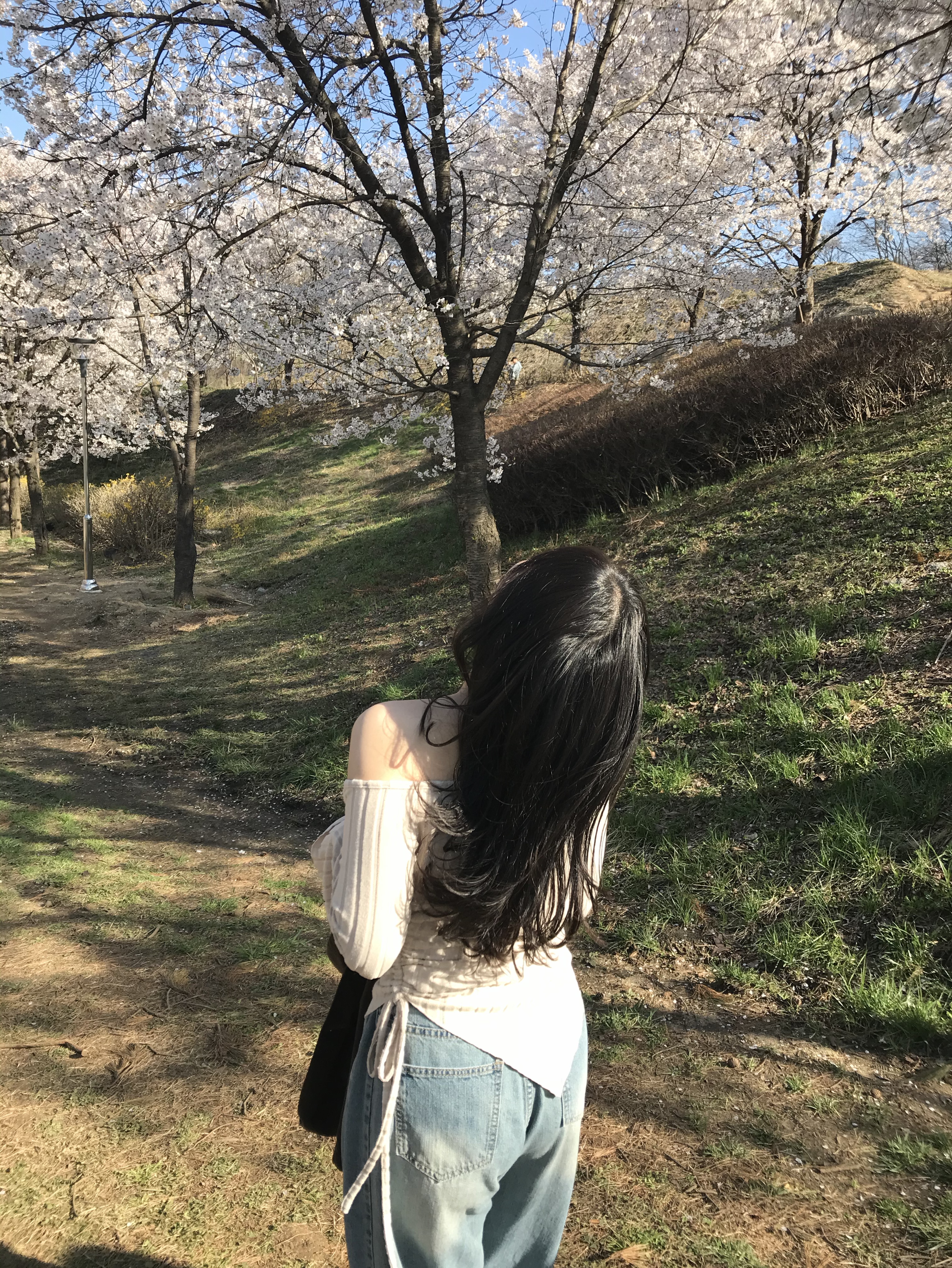 7년 만에 다시 왔어요〰️