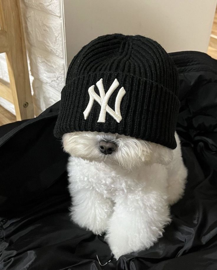 옹알이좀 할게,