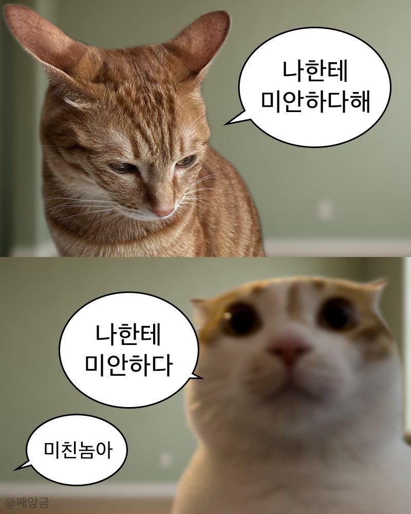 오랫만!