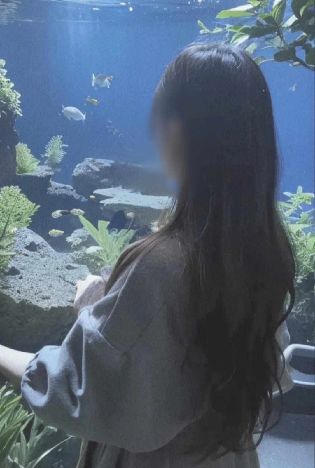 「✦ 예외적으로 예쁜 숨  」