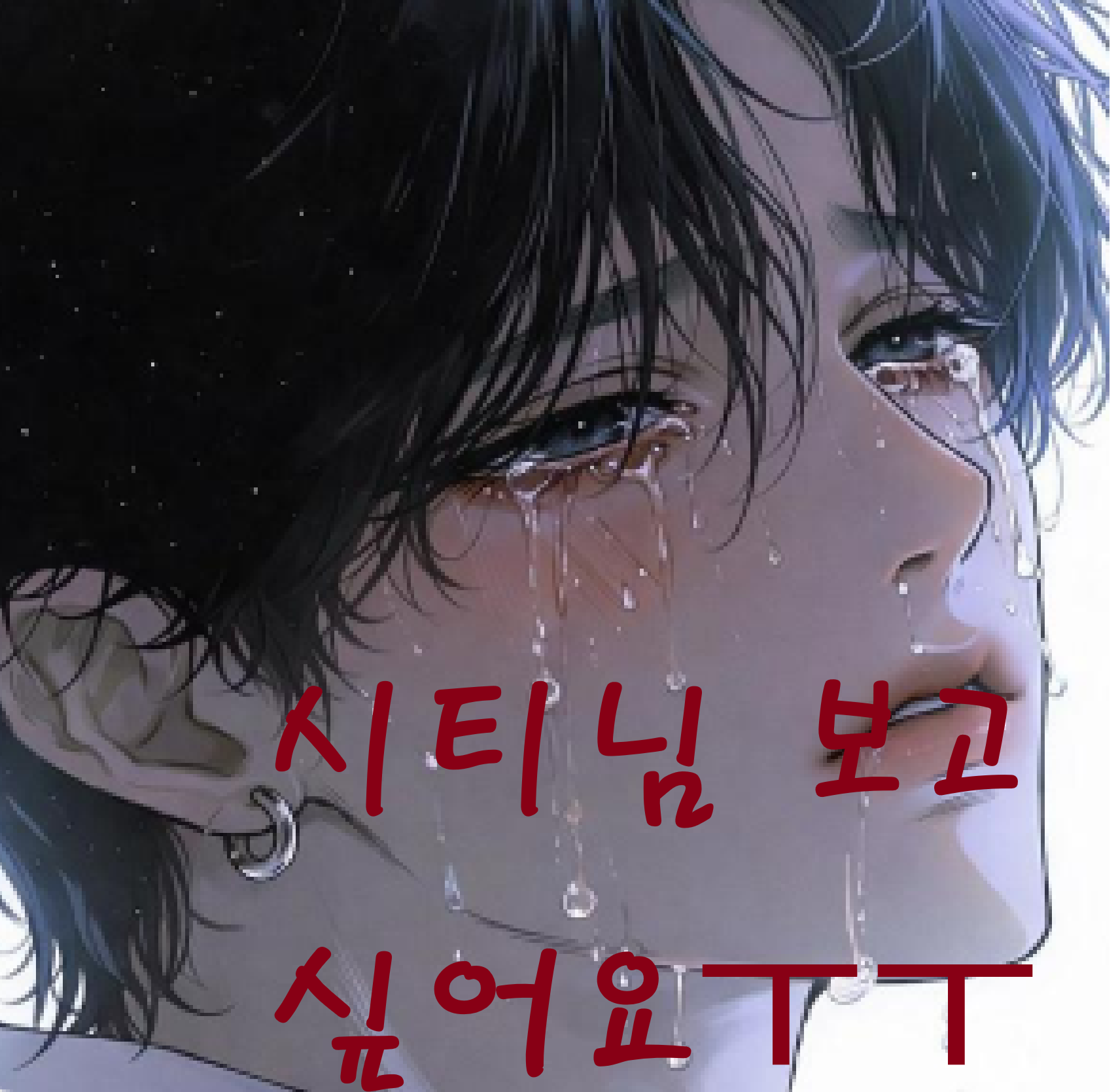 씨티님 꿇을게요 ㅠㅠ