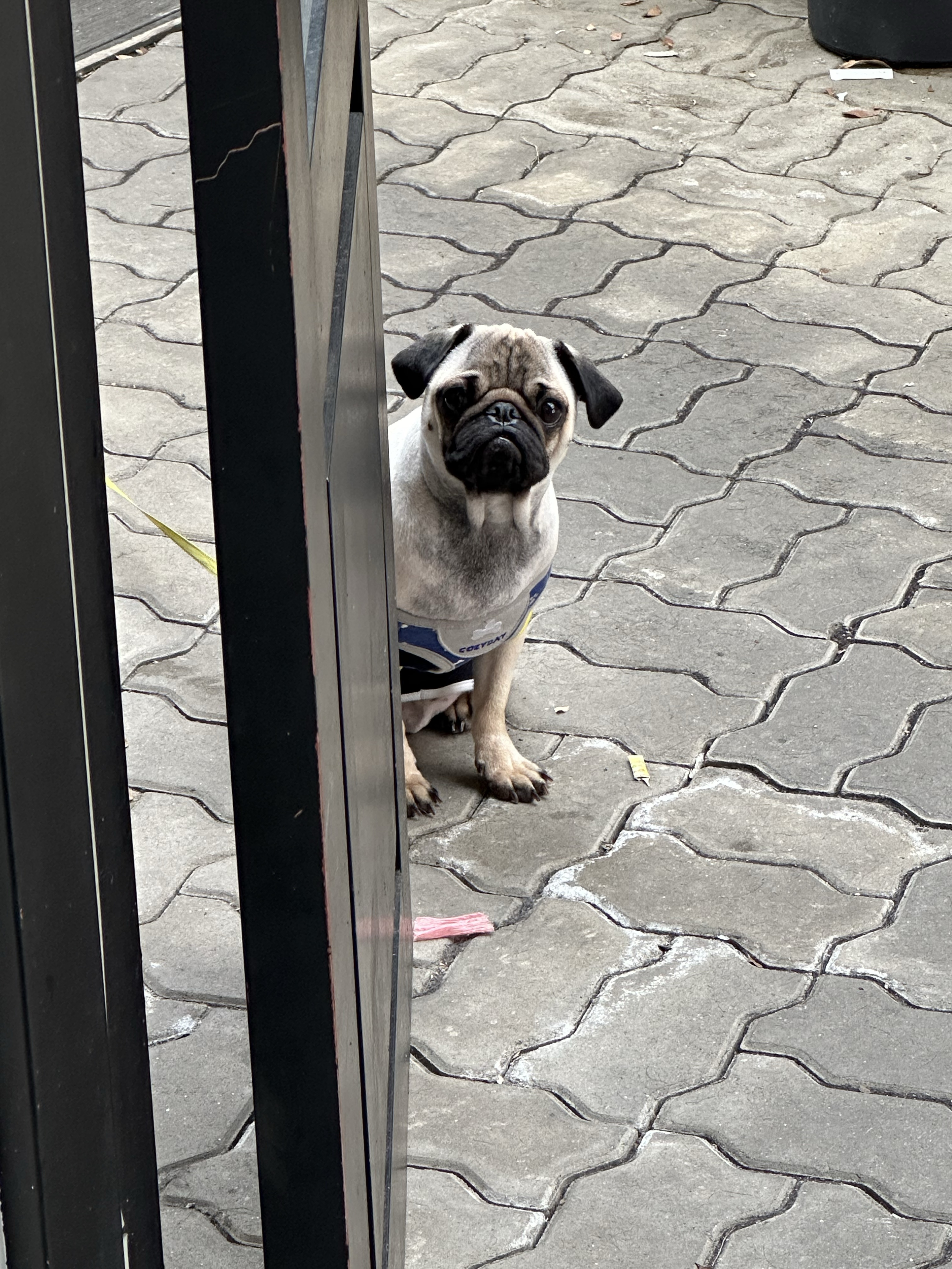 좋은 아침입니다.