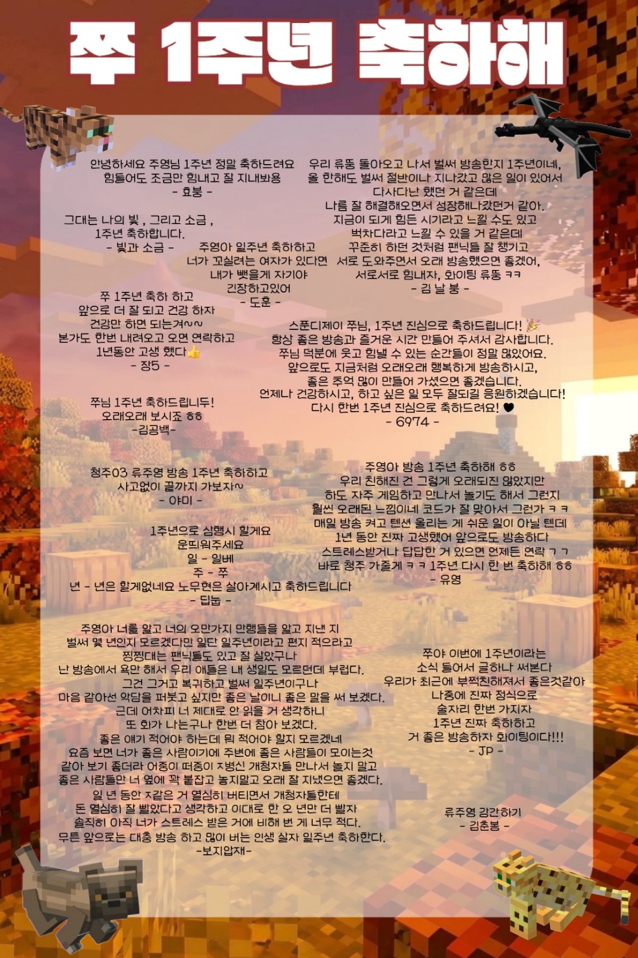 1주년 🎉