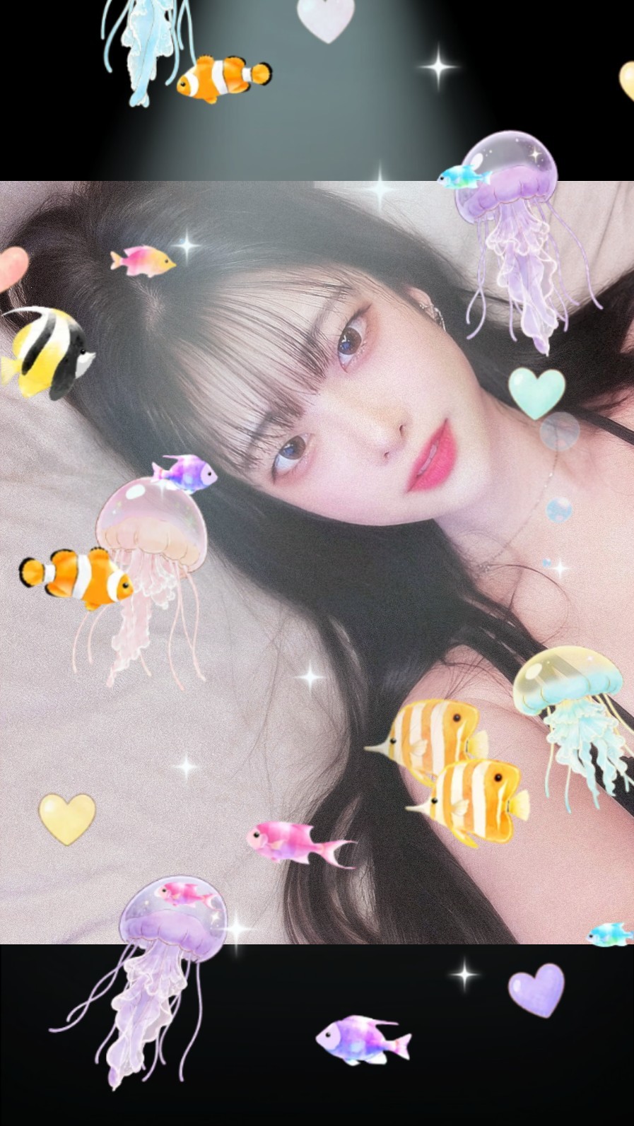 새벽 노래 라이브 🌙