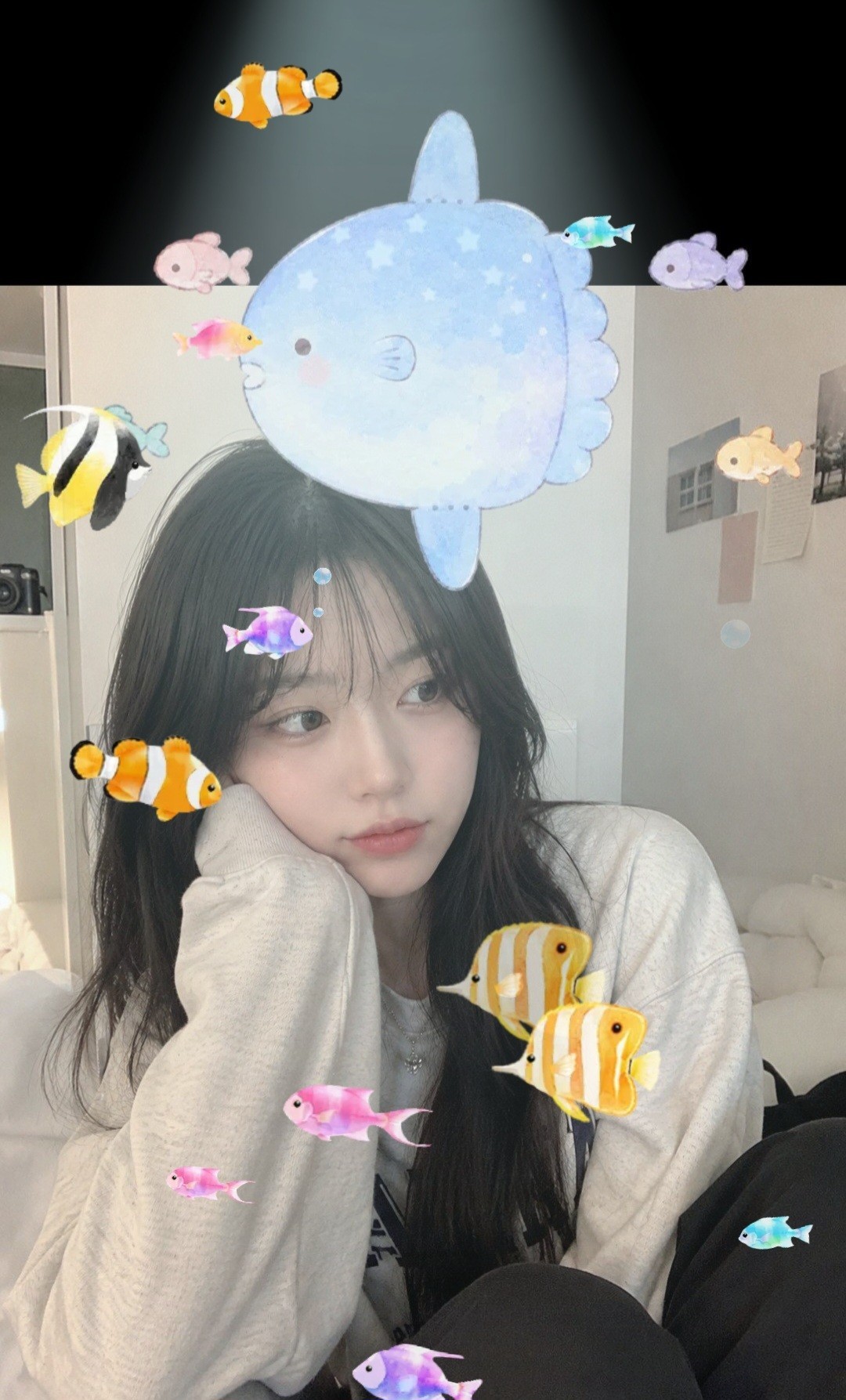 신입) 키워주세뇨🍬