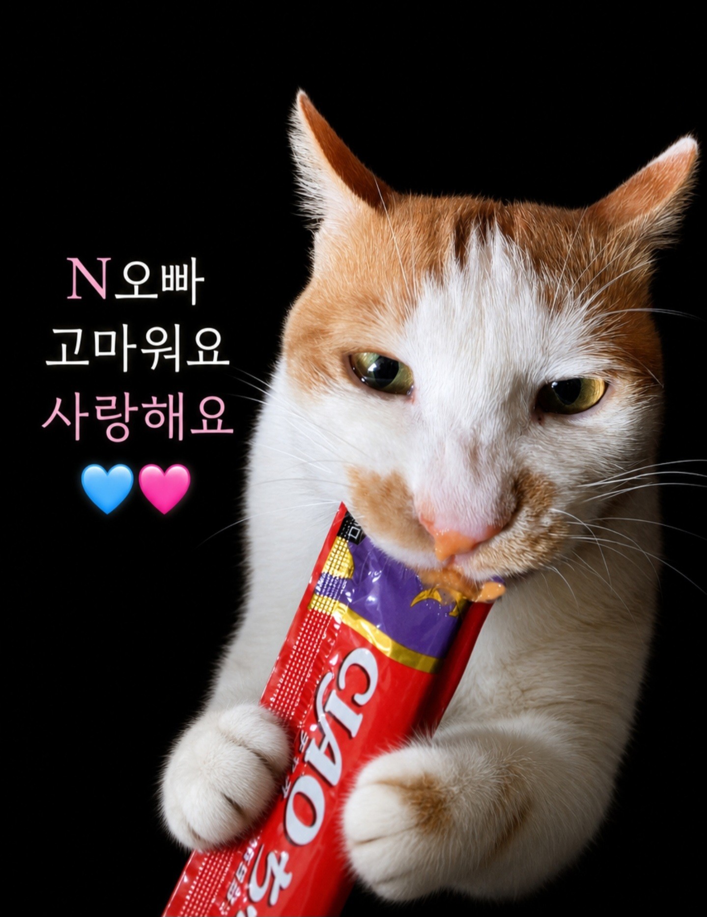 쏘맥 방송권[ 🫧 ]