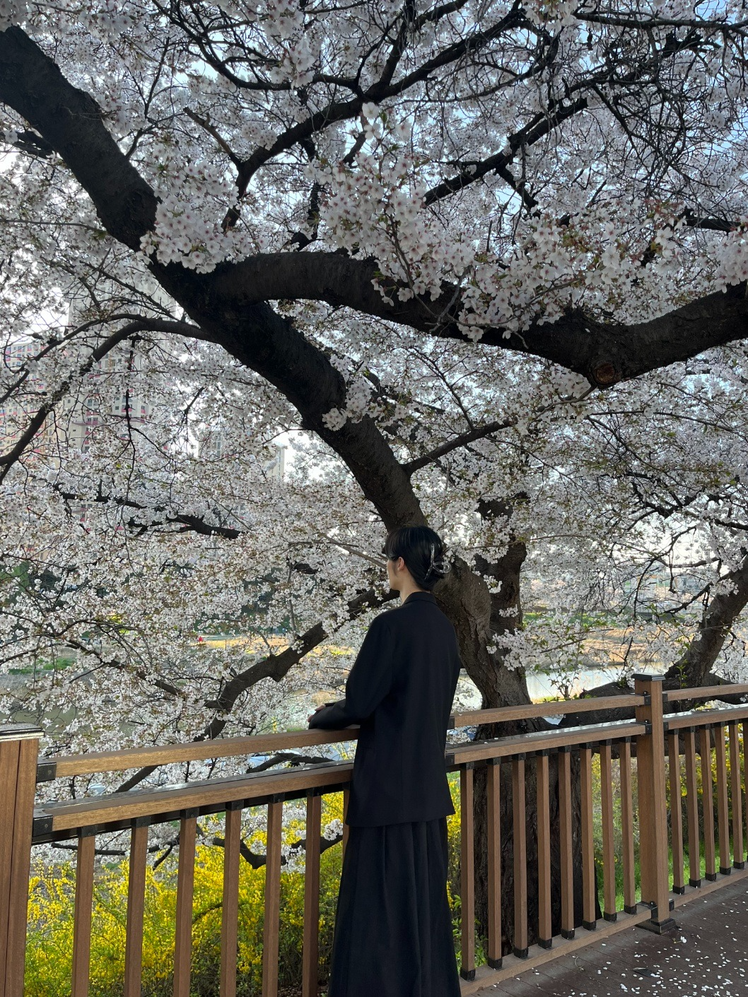 내 남자친구가 이런 목소리면 좋겠다❣
