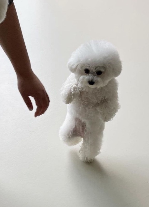 자고 싶은데 잠이 오질 않나요?