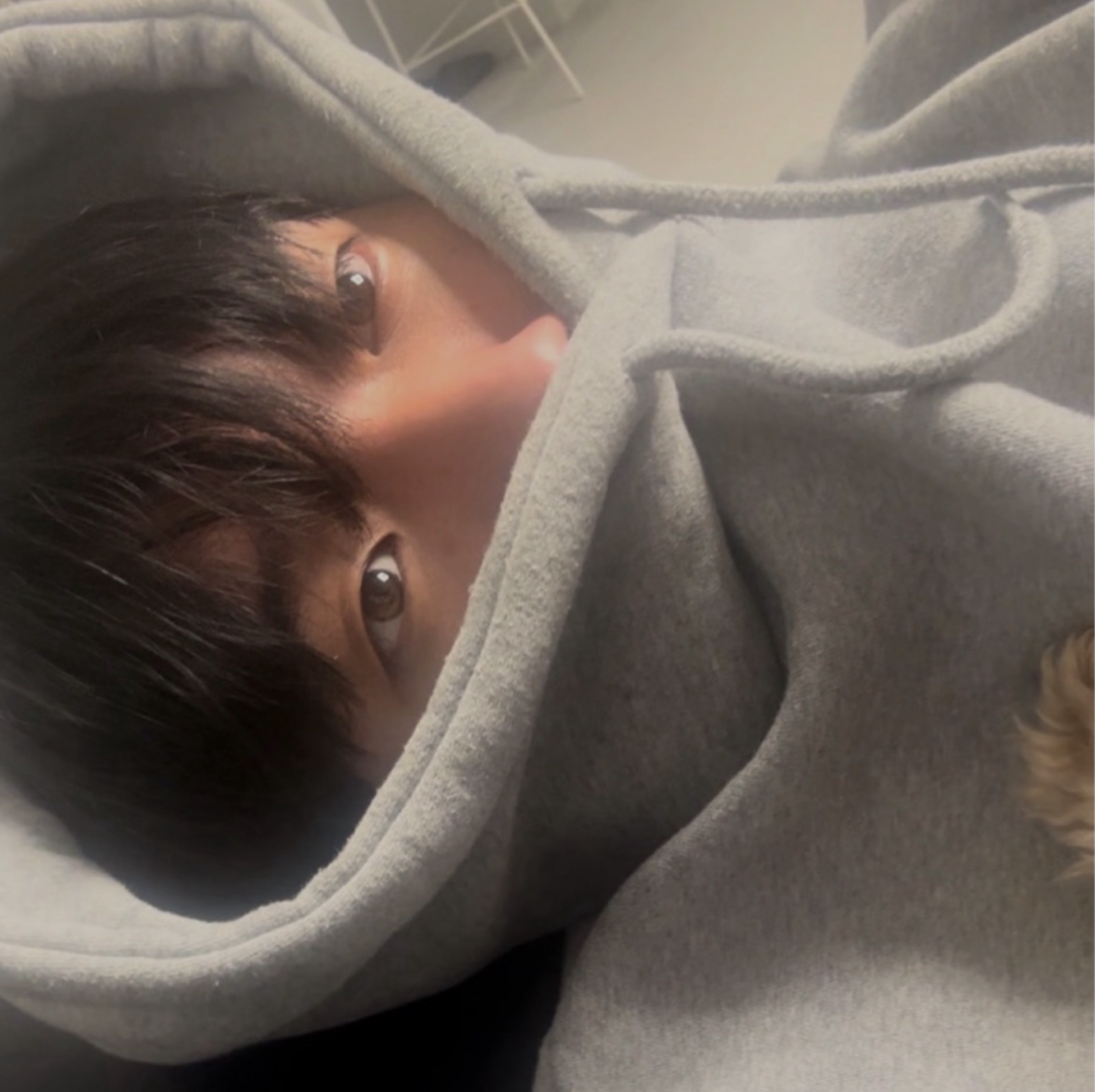 새벽 최적화 중저음🍀