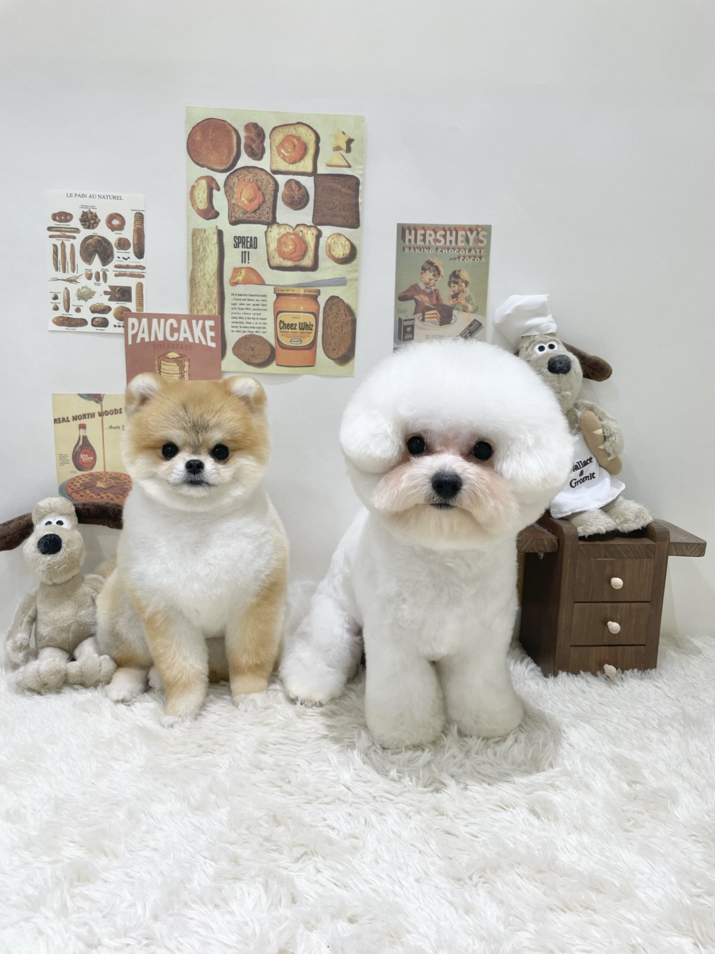 핵꿀잼 소개팅 관전ok