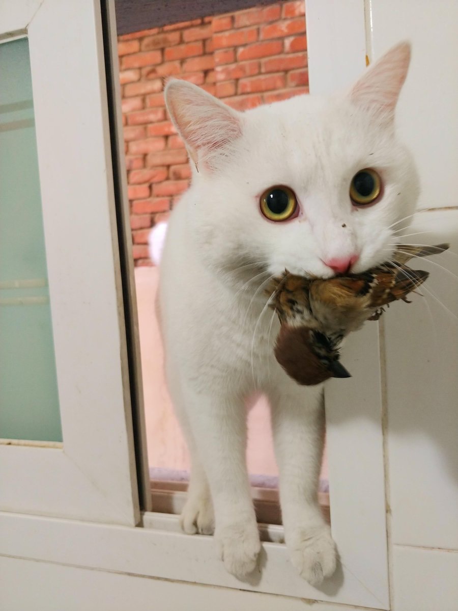 자고 싶은데 잠이 오질 않나요?