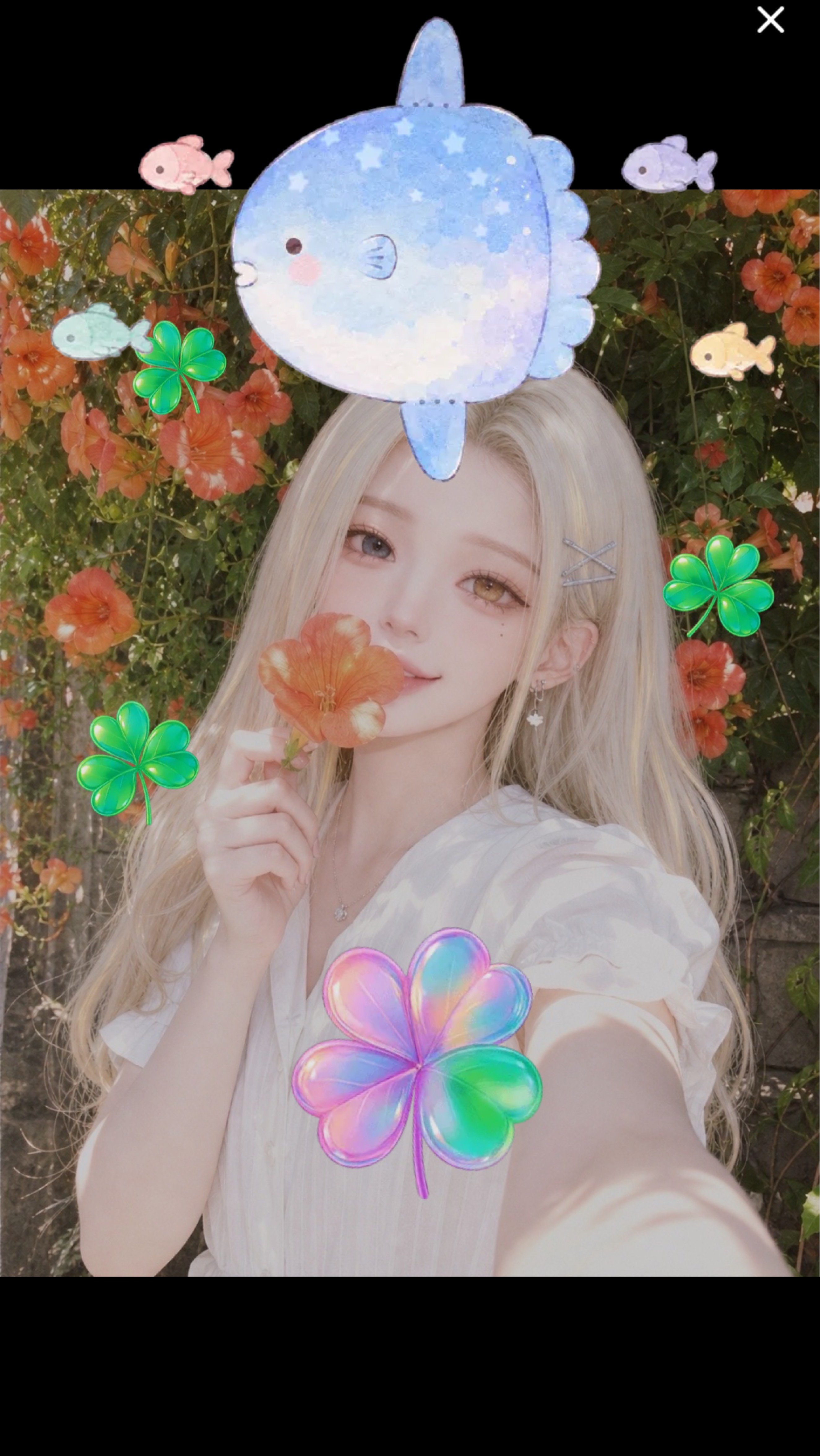 ꒰ 딩구리댕구리 ꒱