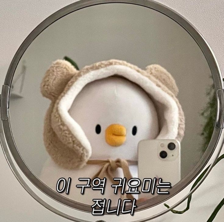 푸잉이 ❤️❤️