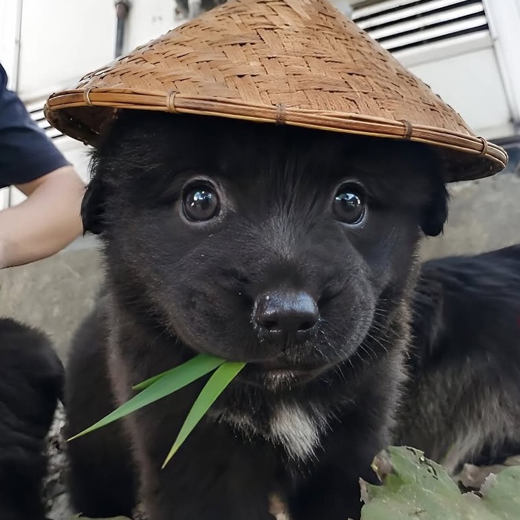 남친 구해욤 1번