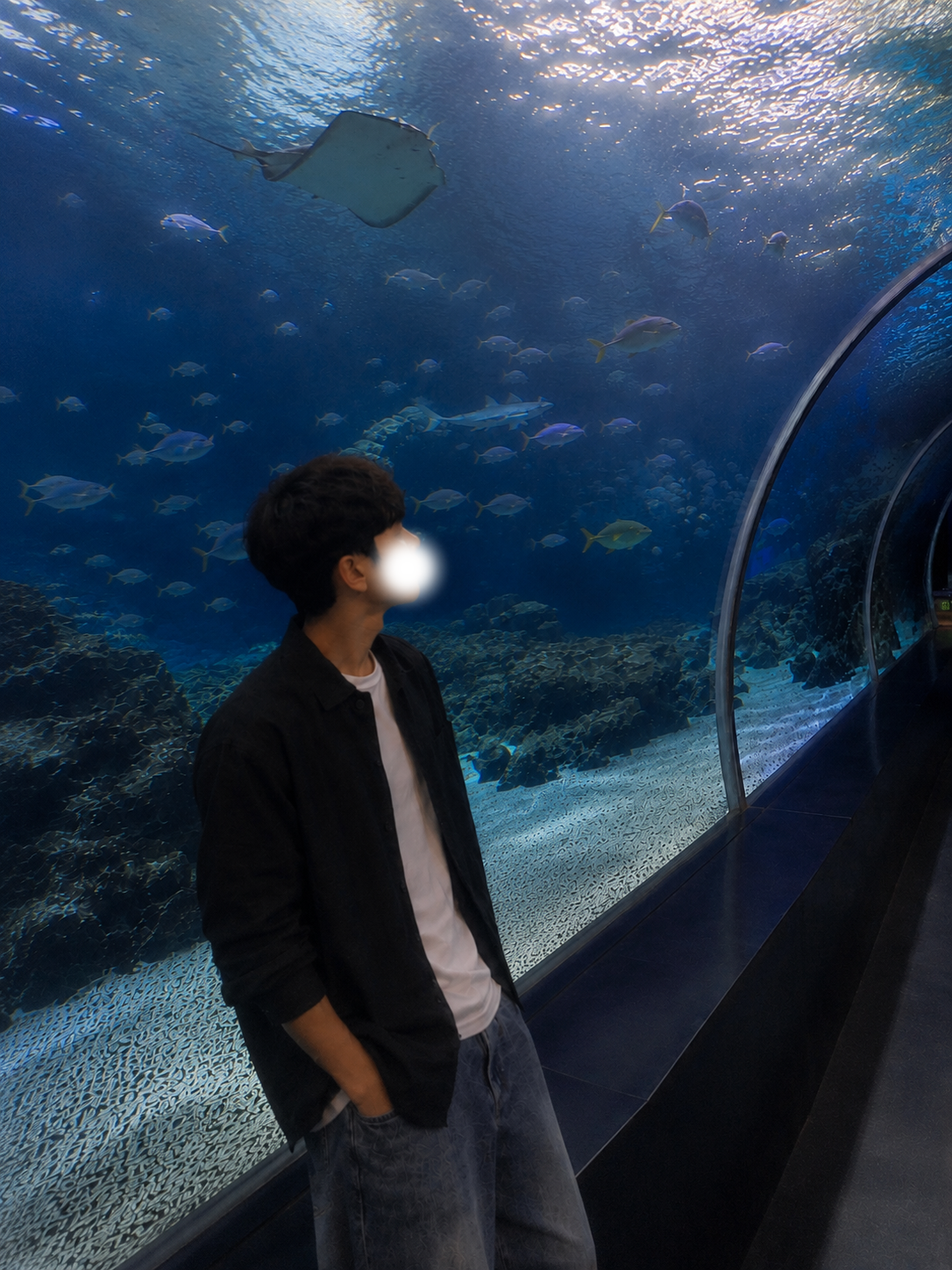 각자 할 일 Pli