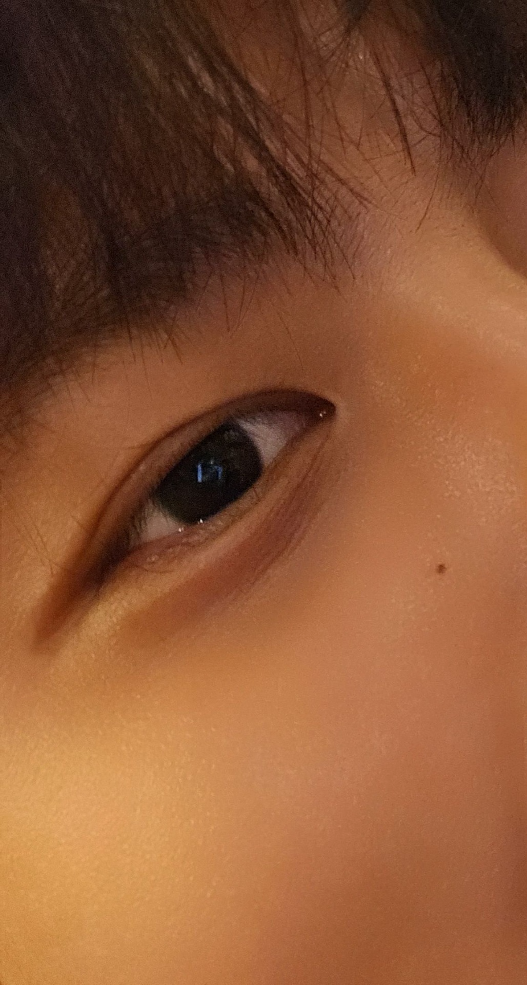 # 네밀리 도란도란 도롱도롱