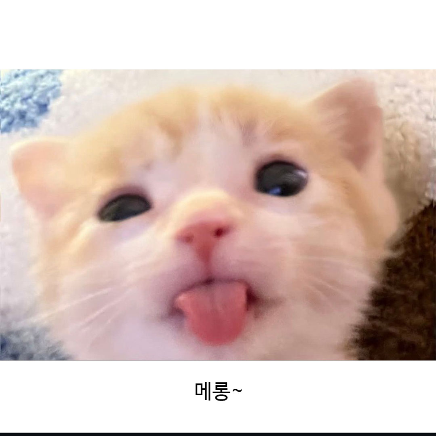 안녕하세요