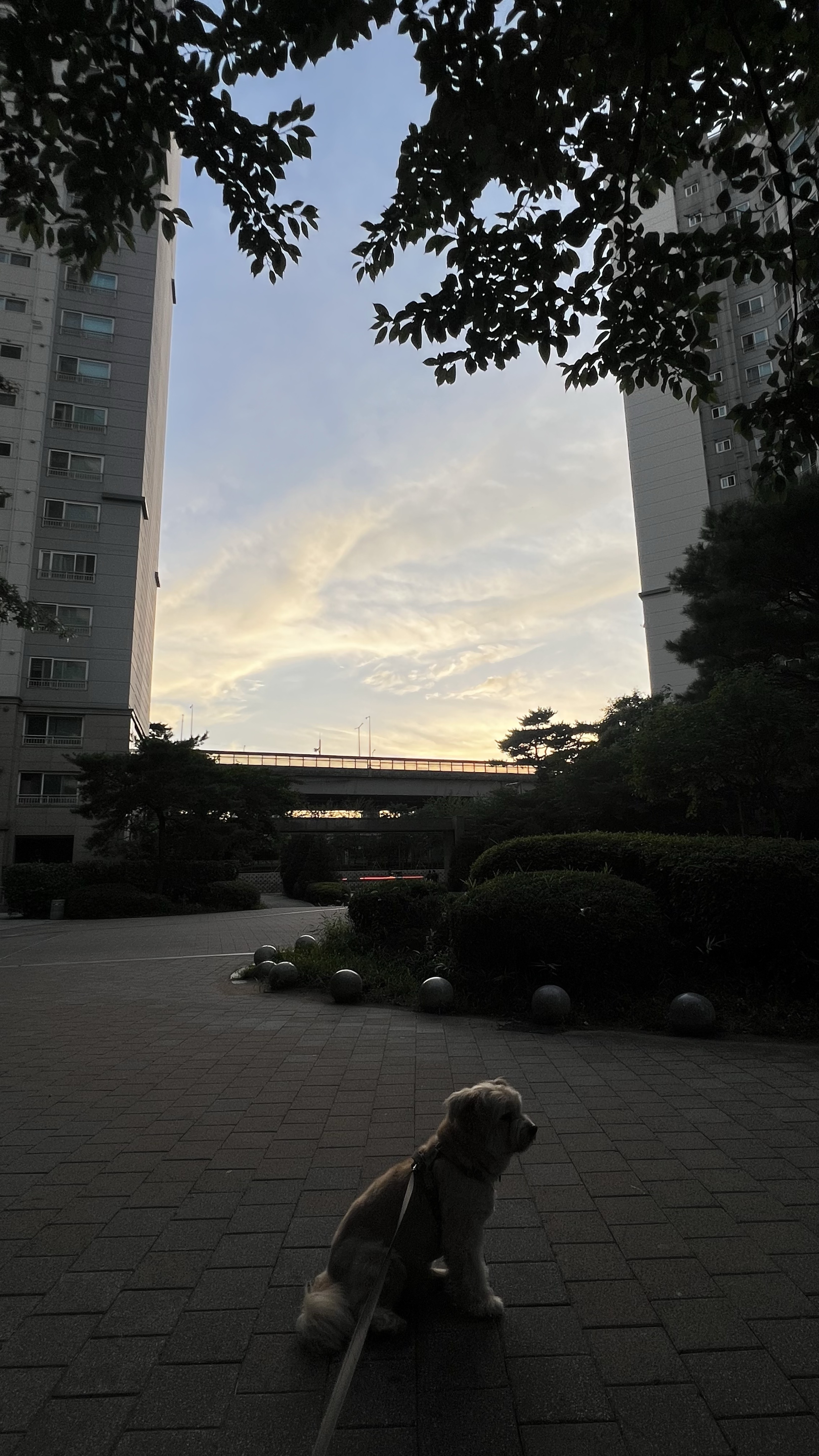 카페에오  (챗 위주)
