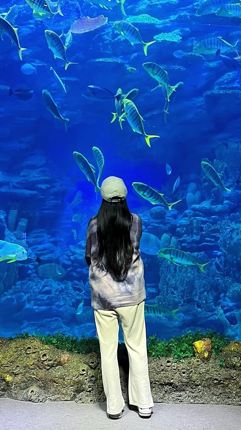 노올자