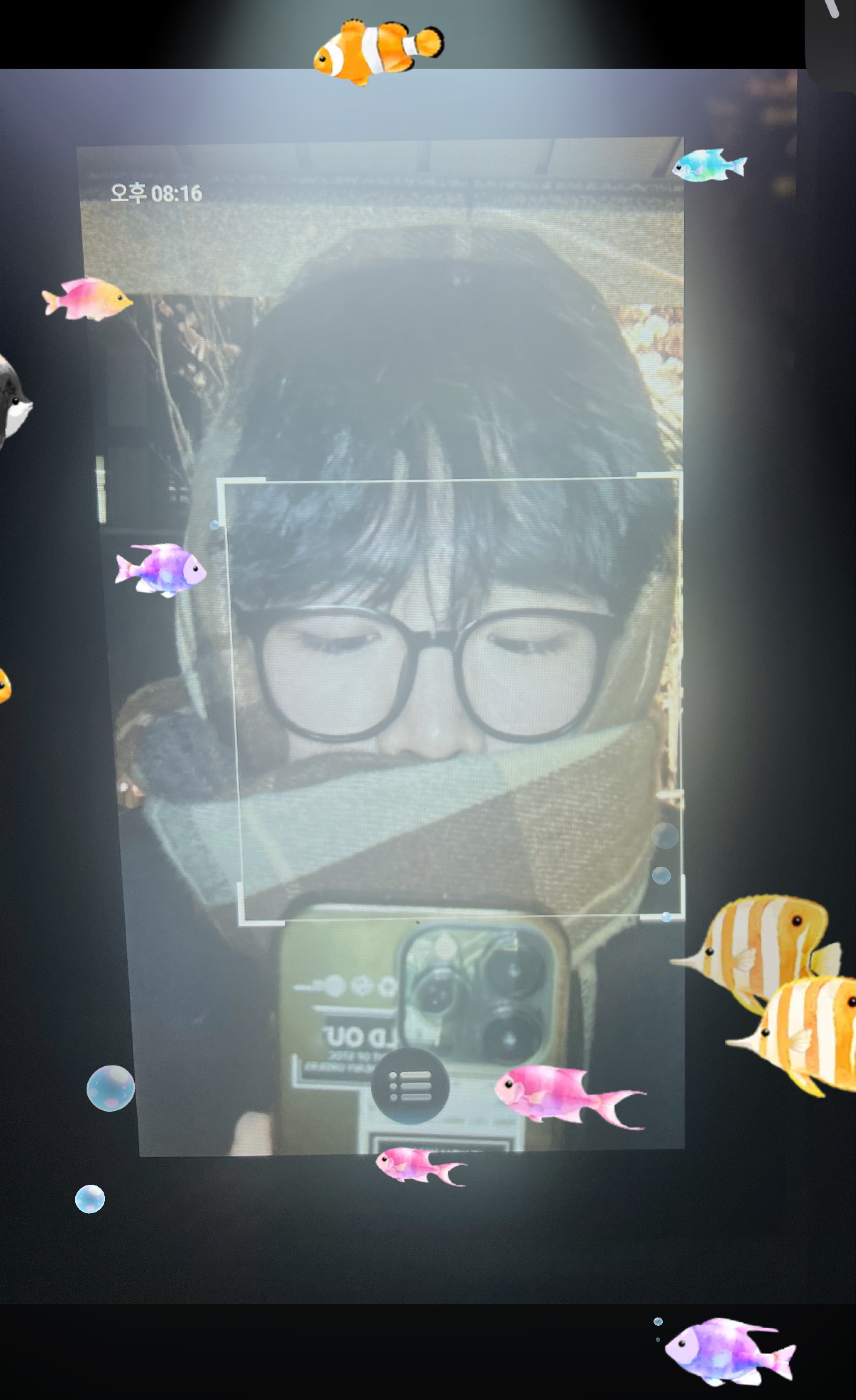 중미성 정식