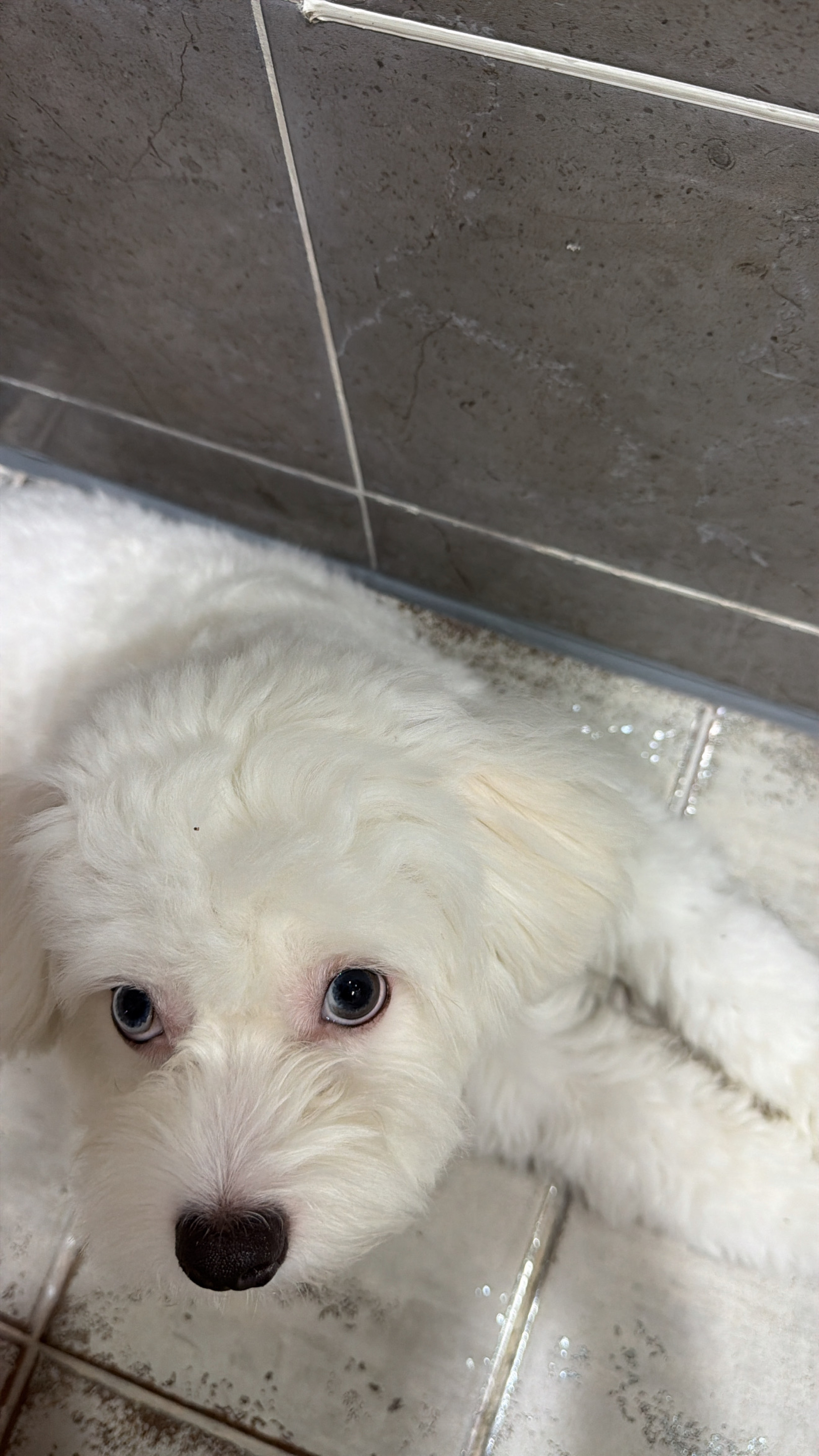 대구)아무나