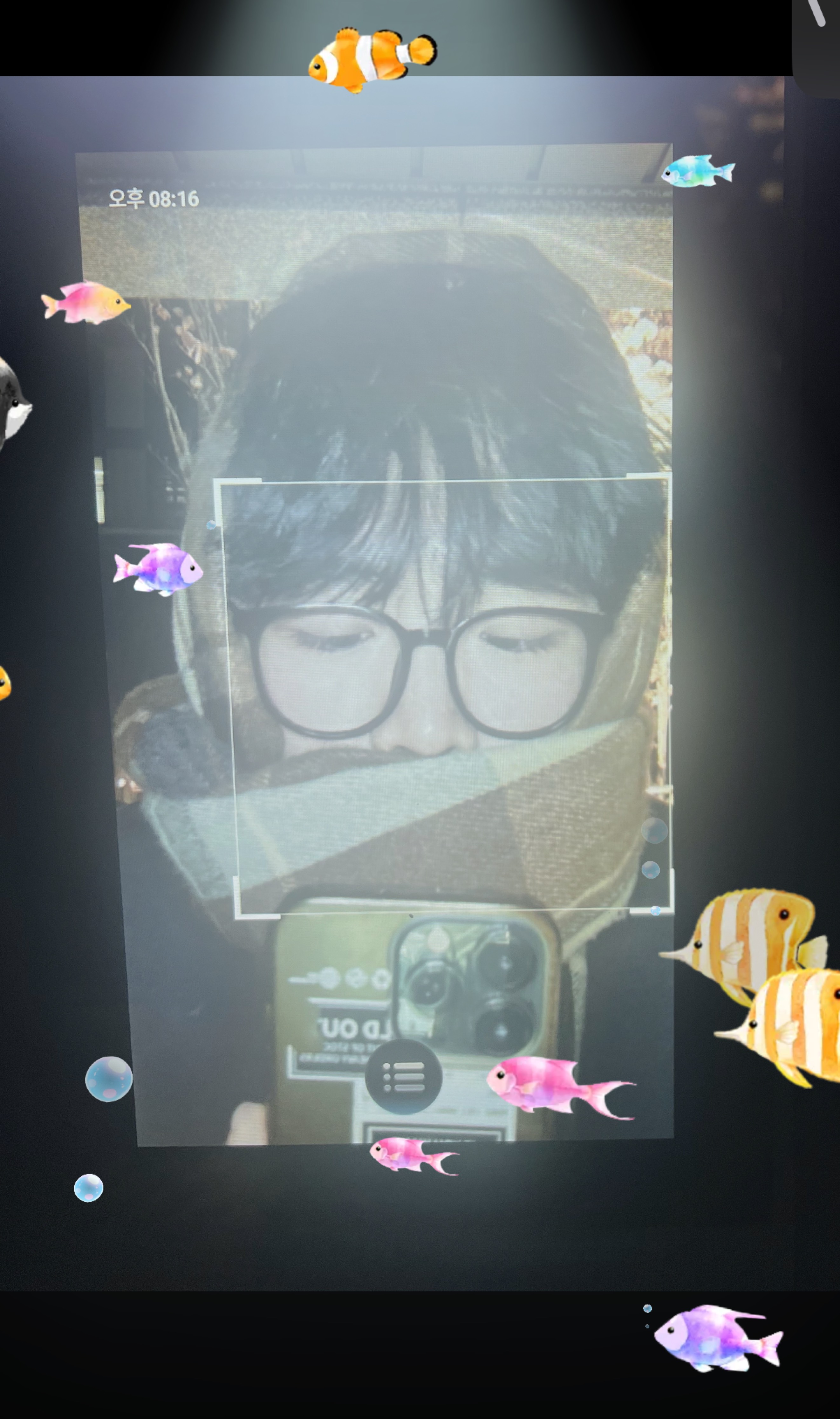 중미성 정식