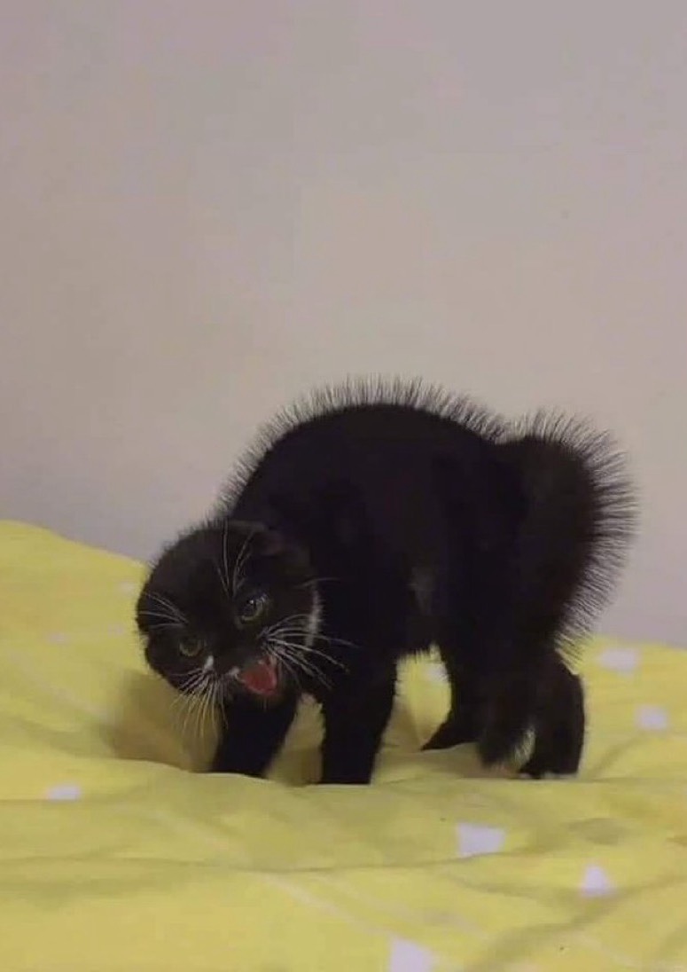 자고 싶은데 잠이 오질 않나요?