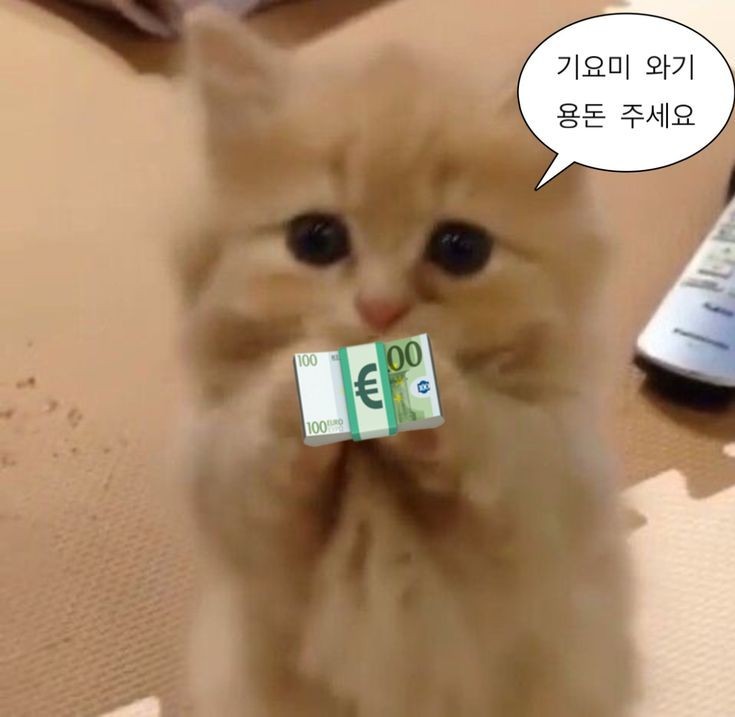 노방종 가자!!