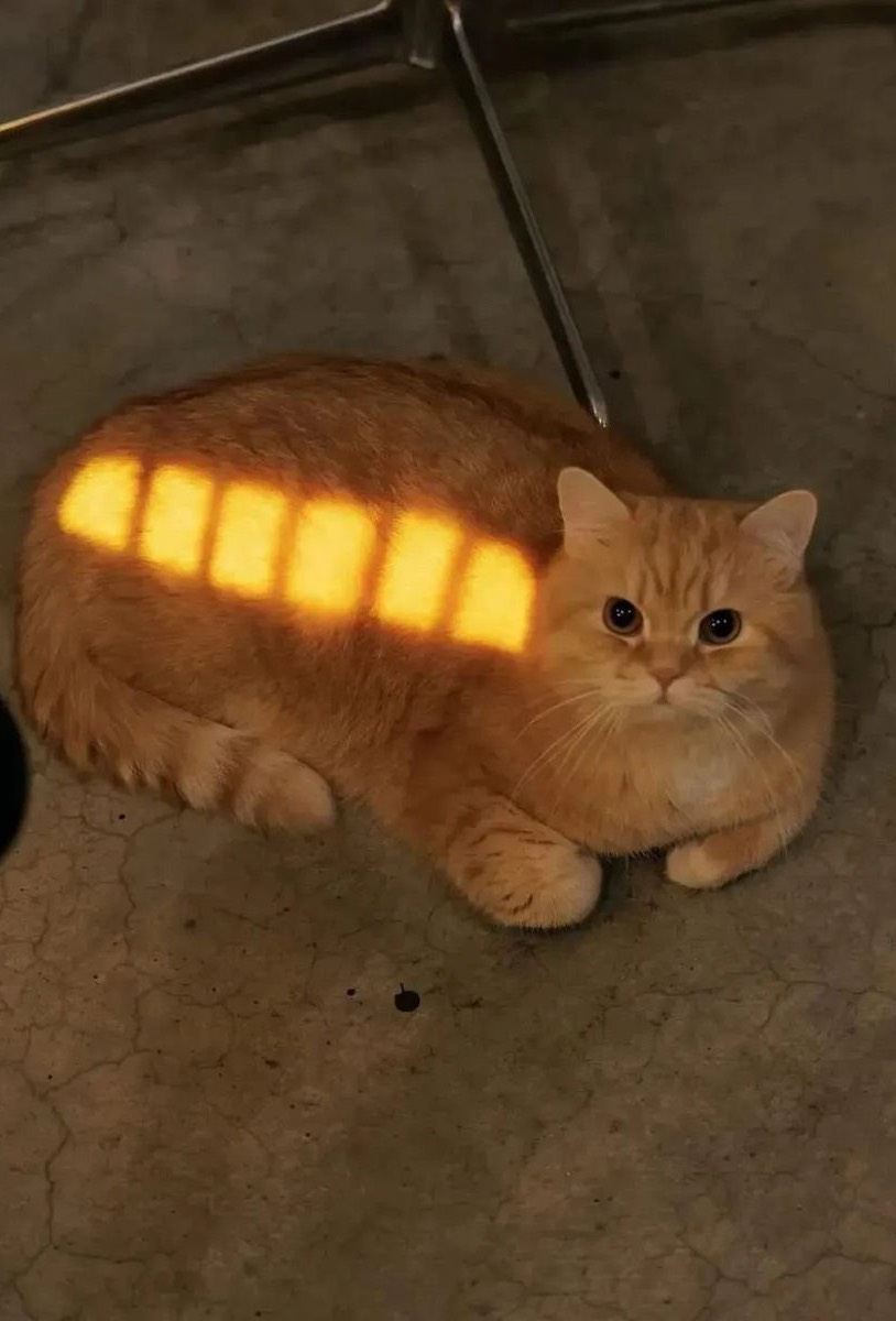 자고 싶은데 잠이 오질 않나요?