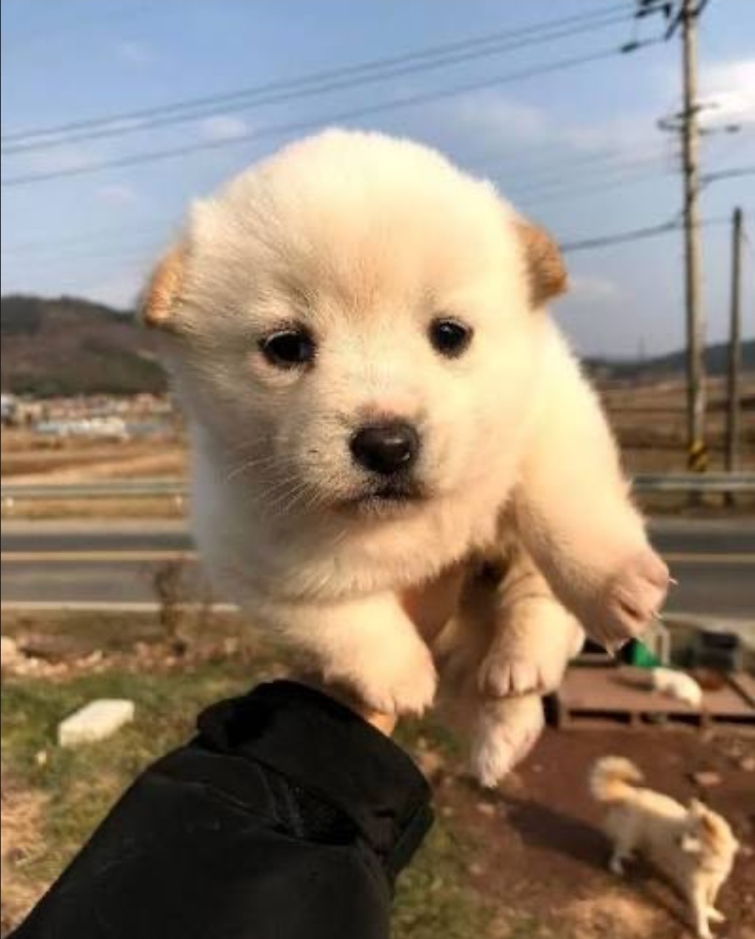 잠방 뻐낑 on