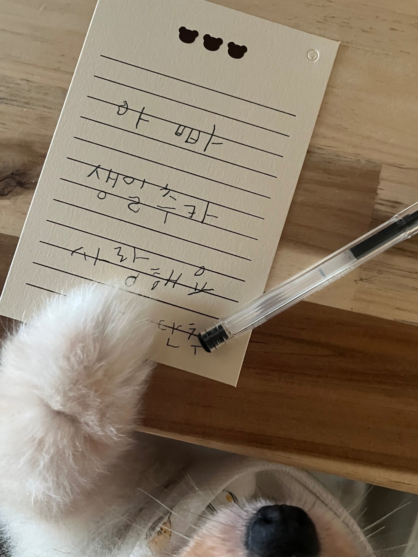 노래가몬지