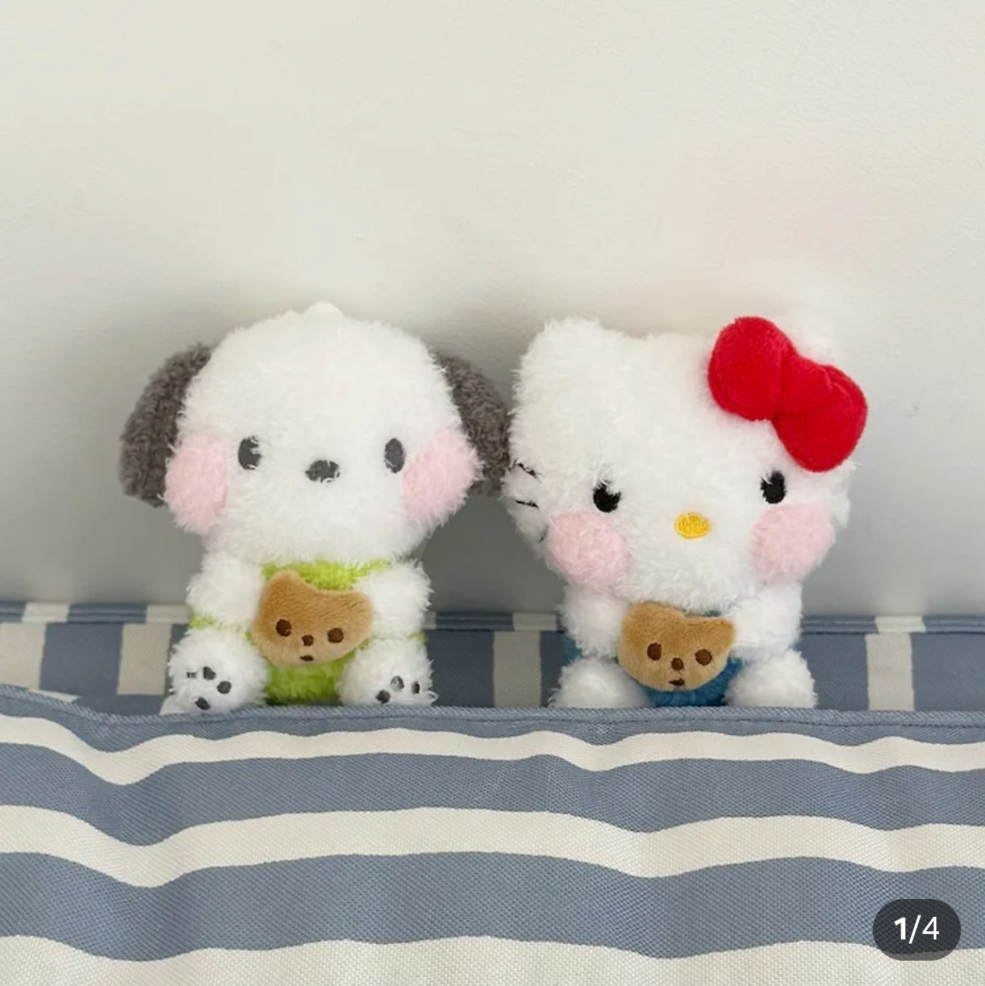 늦은 정규