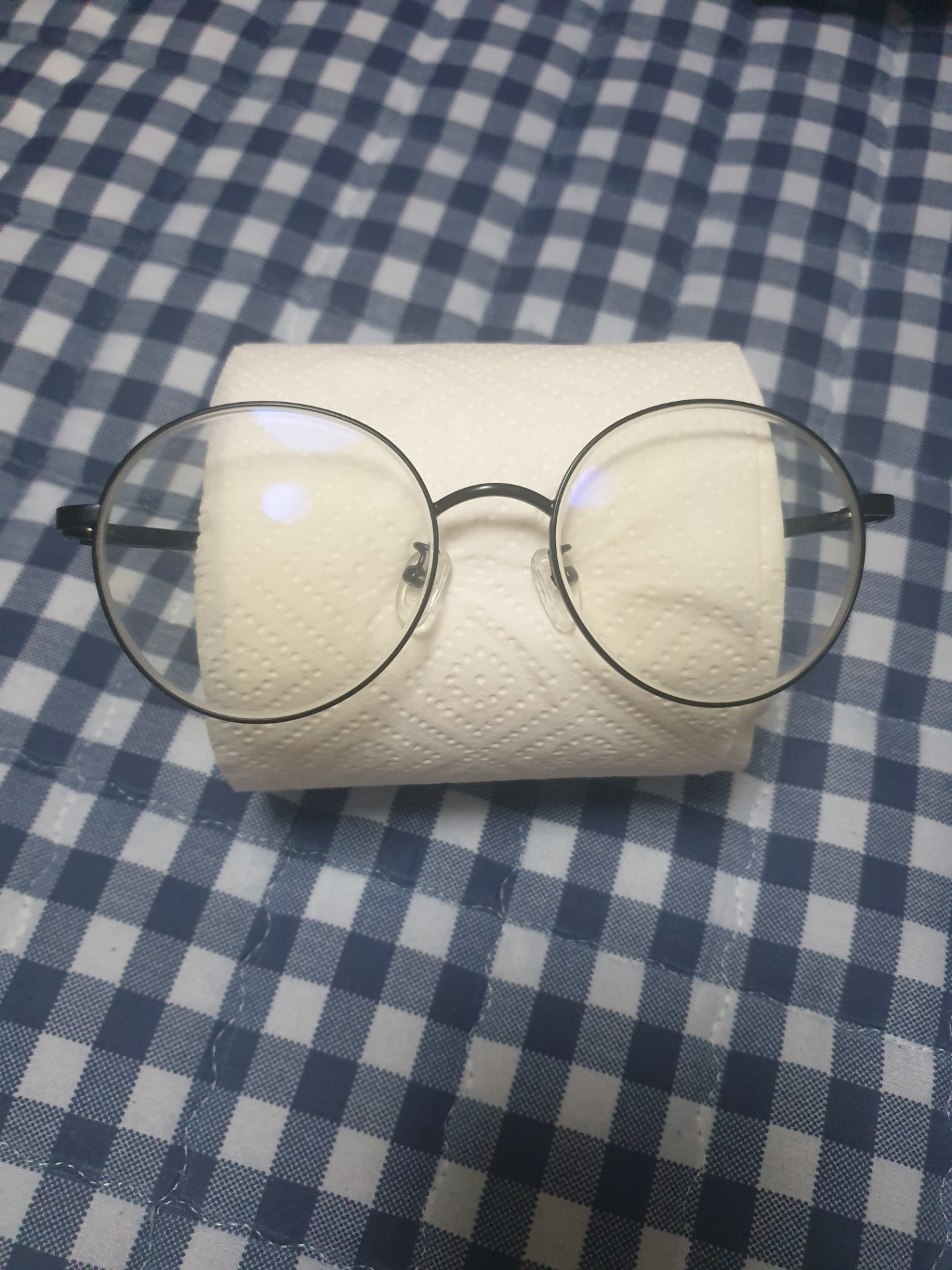 대왕 집 먼지