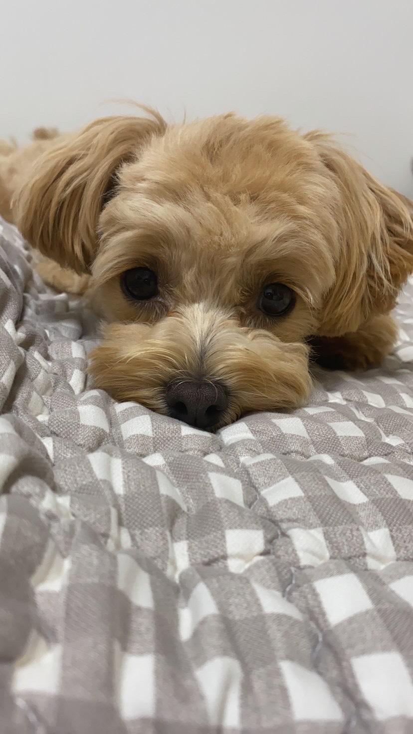 ㅎㅎㅎㅎㅎㅎㅎㅎㅎㅎㅎㅎㅎㅎㅎㅎㅎㅎㅎㅎ