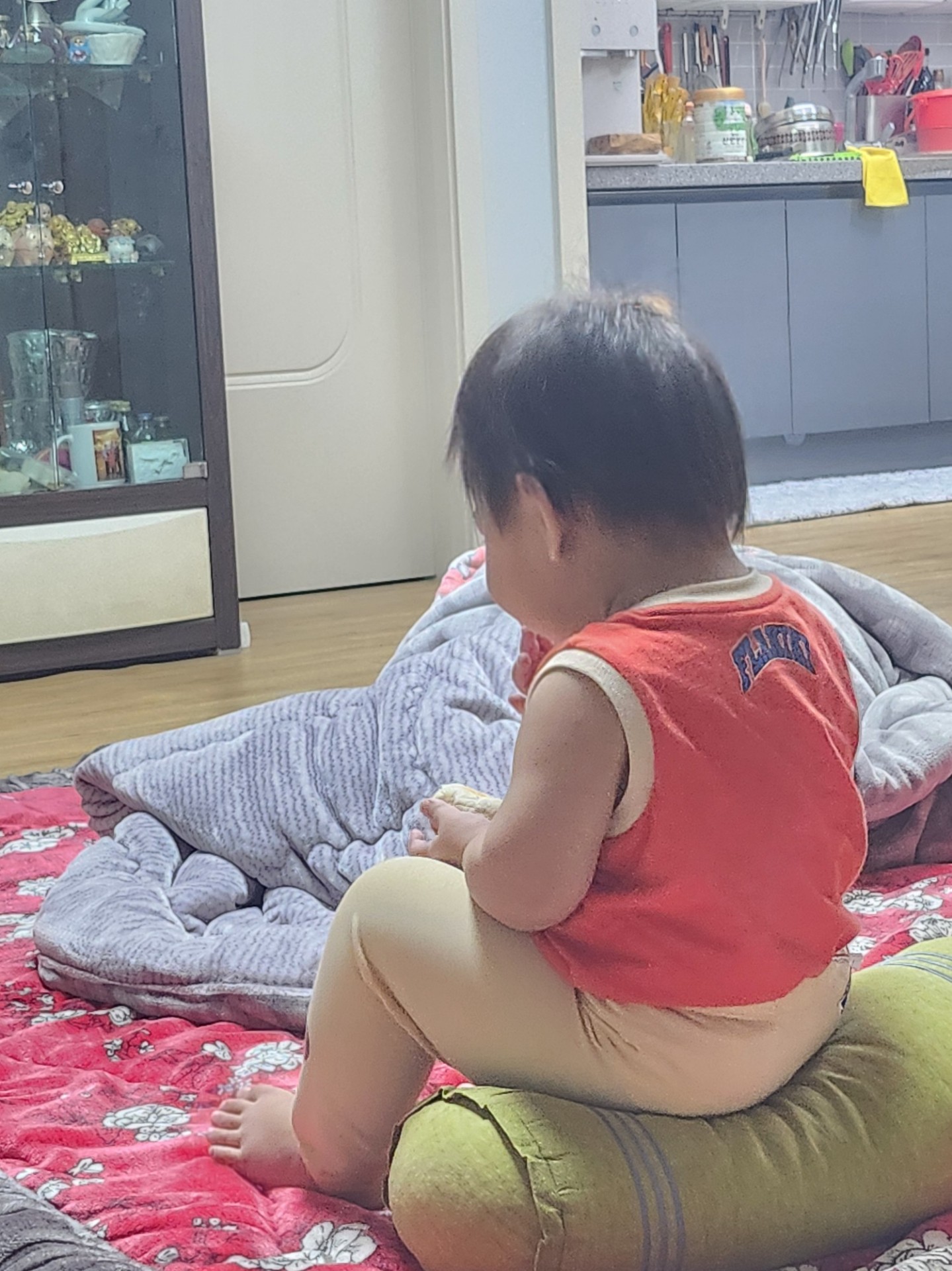 늦은 정규