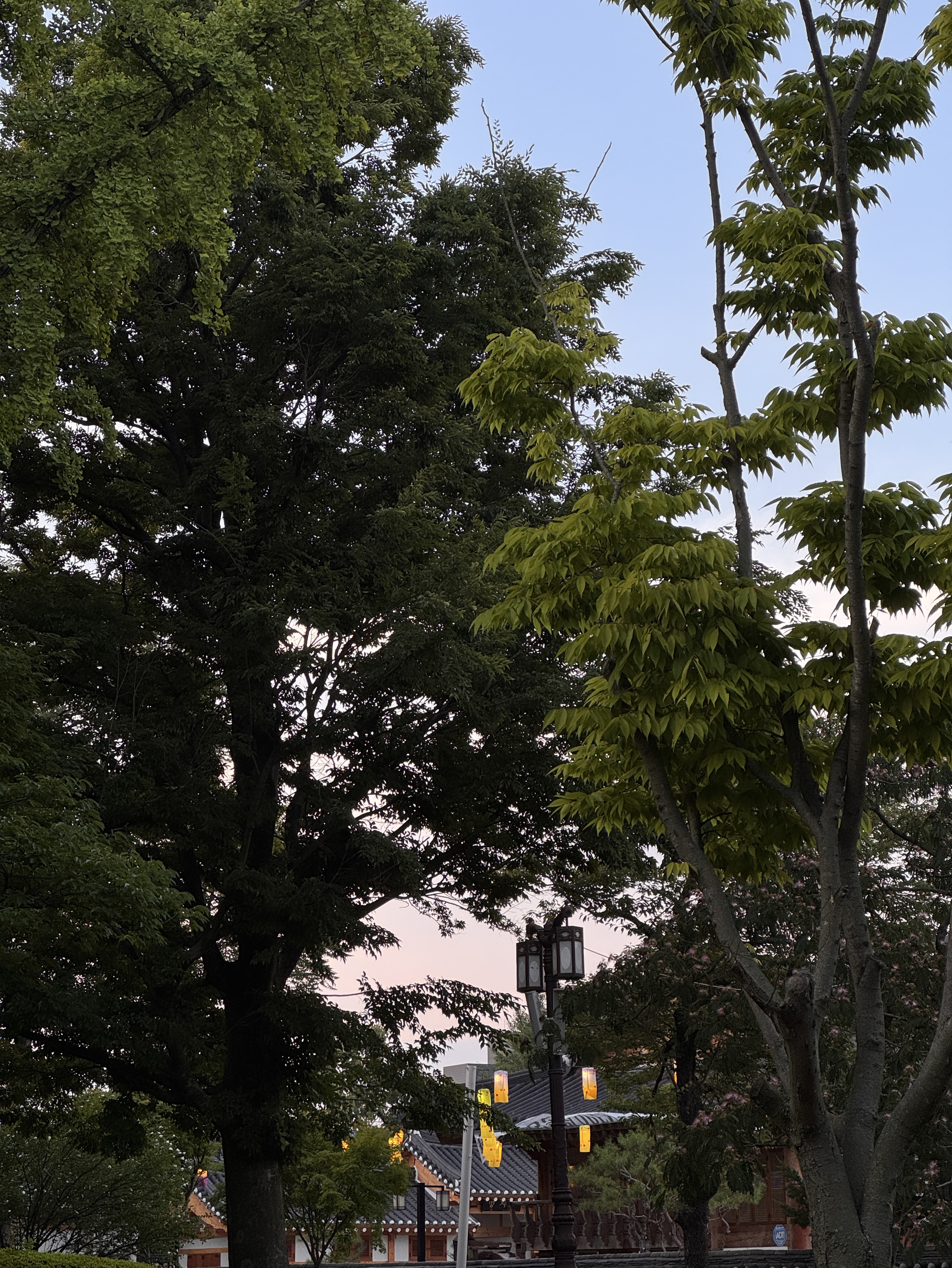 코노뱅 후 조잘조잘