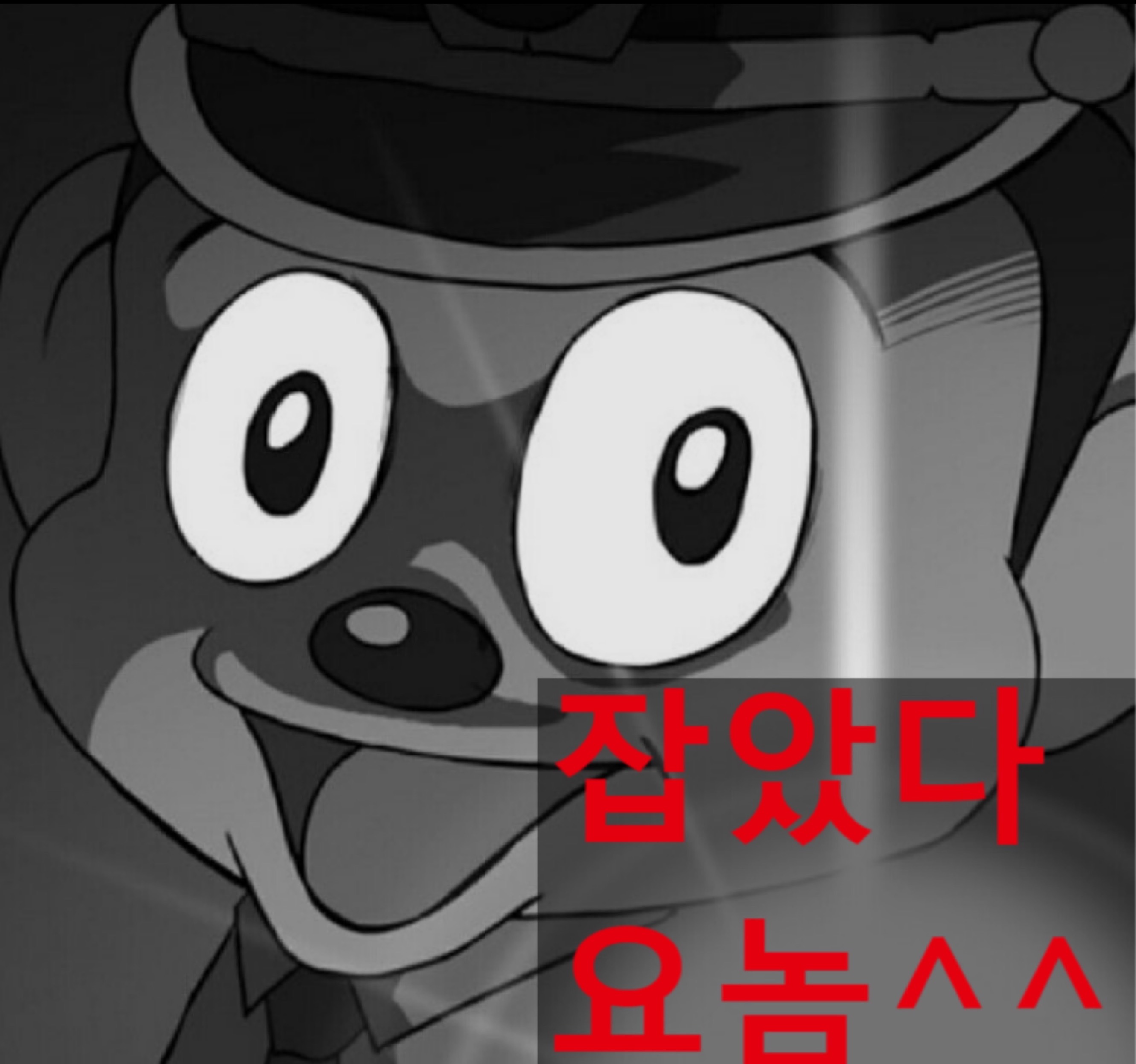 오전도파민 오늘 없습니다. 