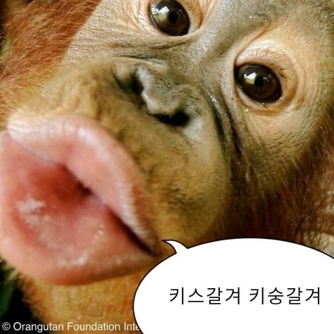 팬티 팔다 잡힌 썰 푼다ㄱㄱ