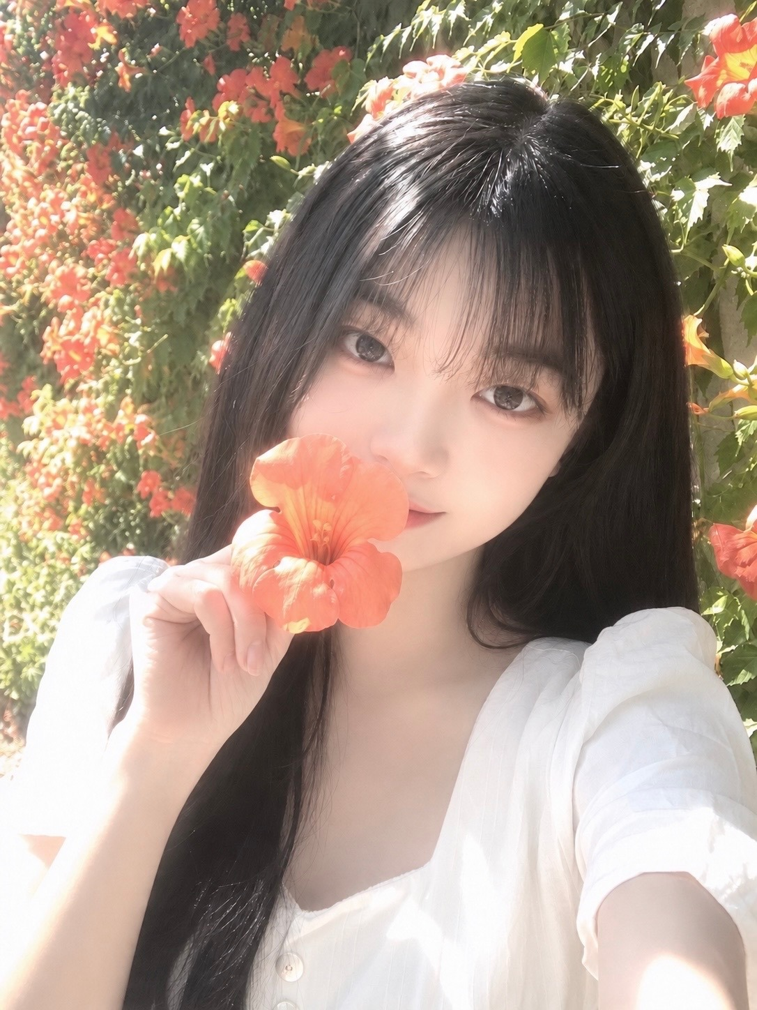 노올자
