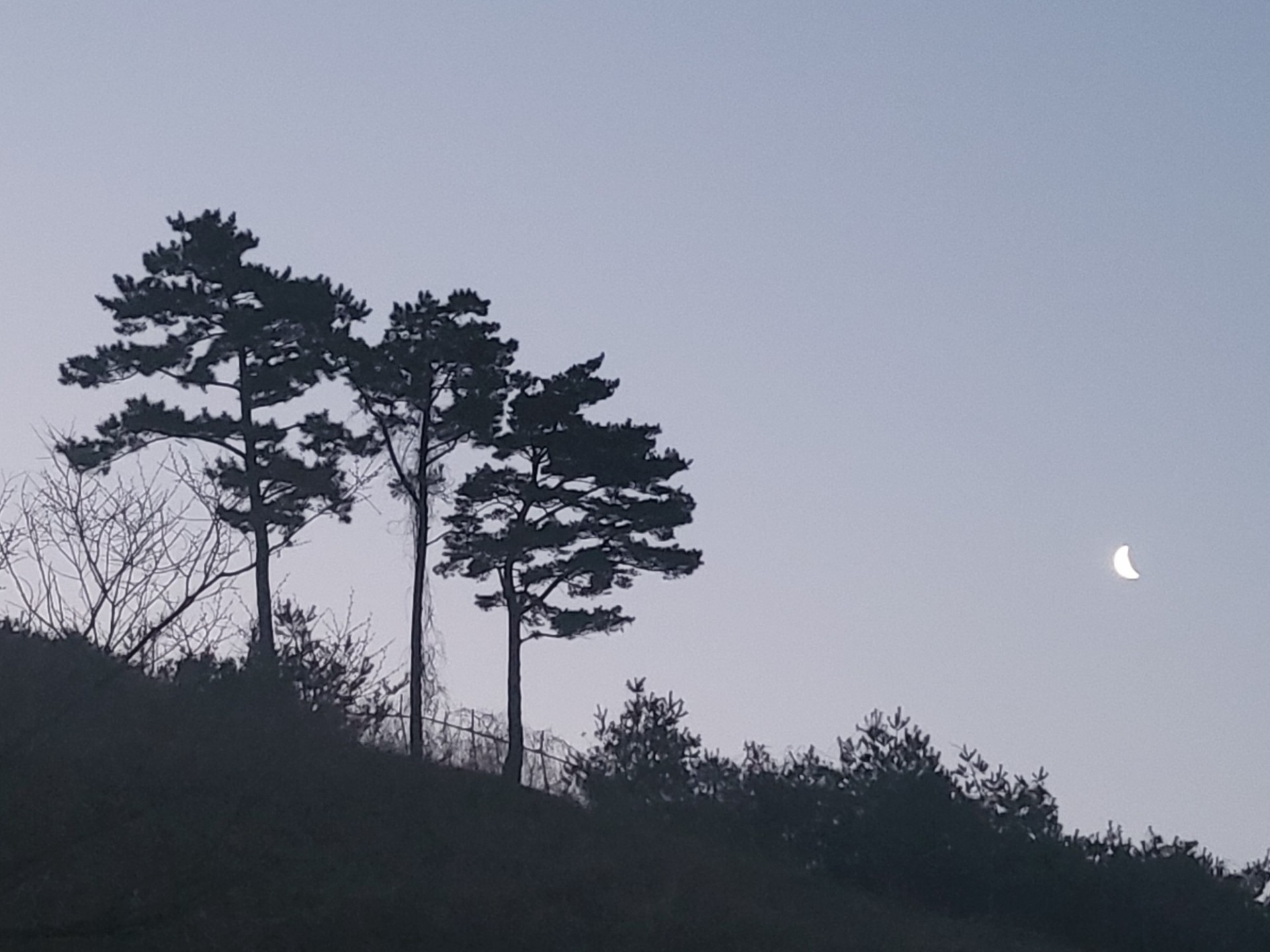 고기 듬뿍 셧더버거