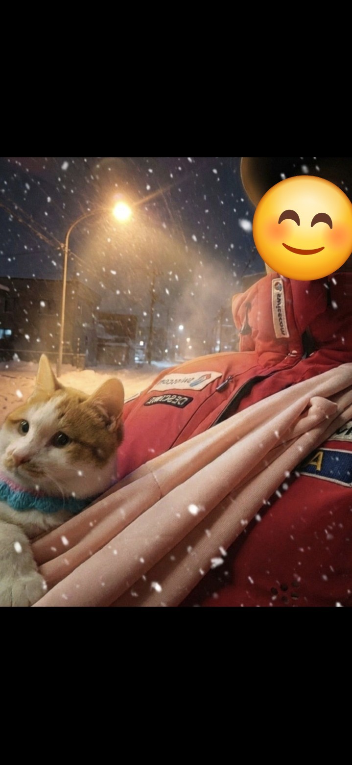 째다 방송권 [ 🫧 ]