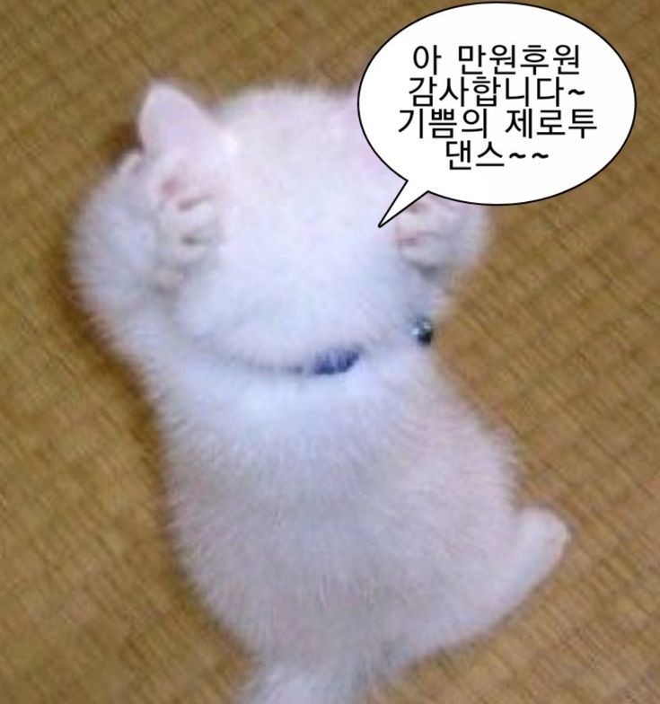 𝐇𝐳𝆕 ) 홀려볼래?