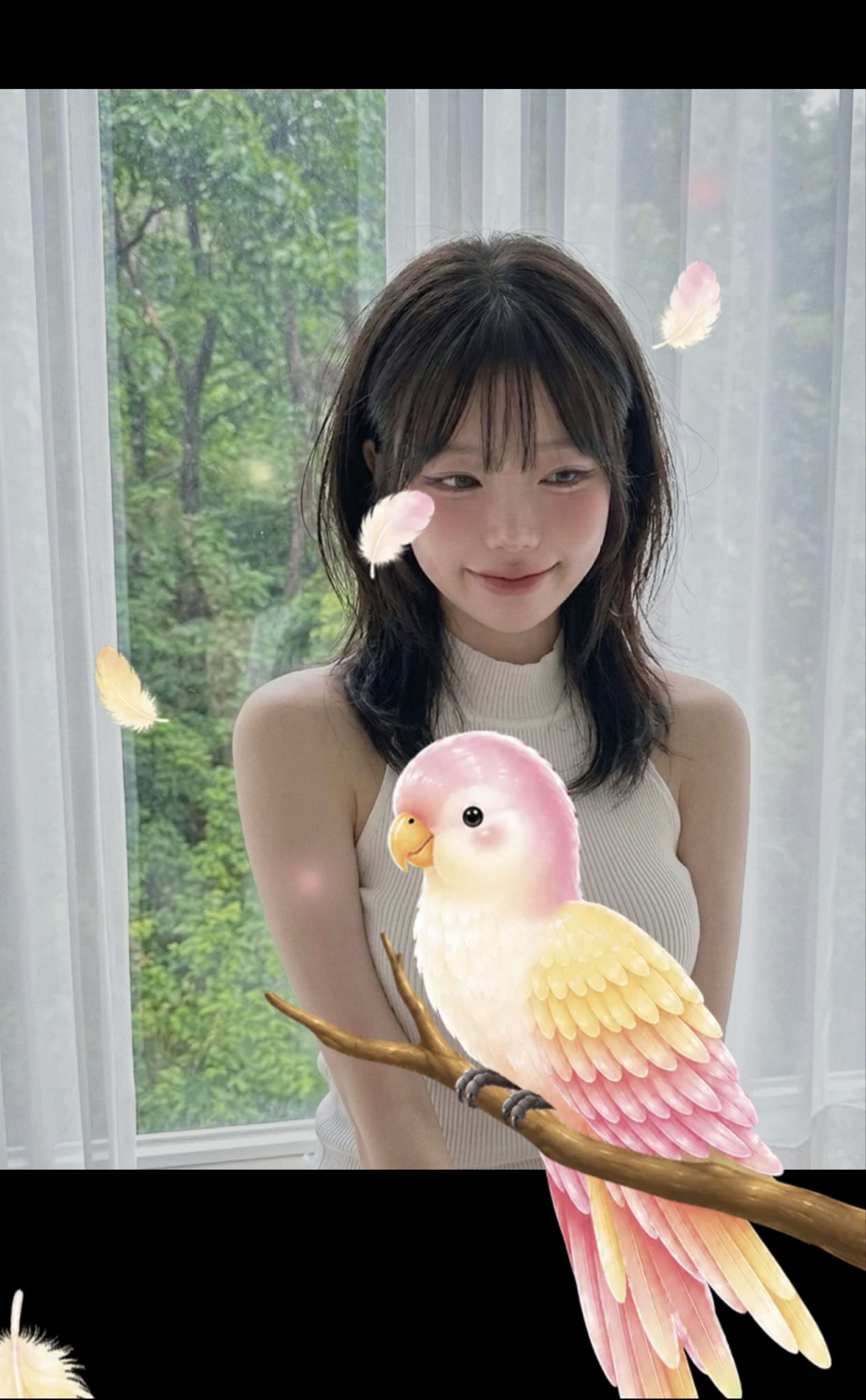 밤에 김놀앙이 왔으니 얼마나 좋겠어