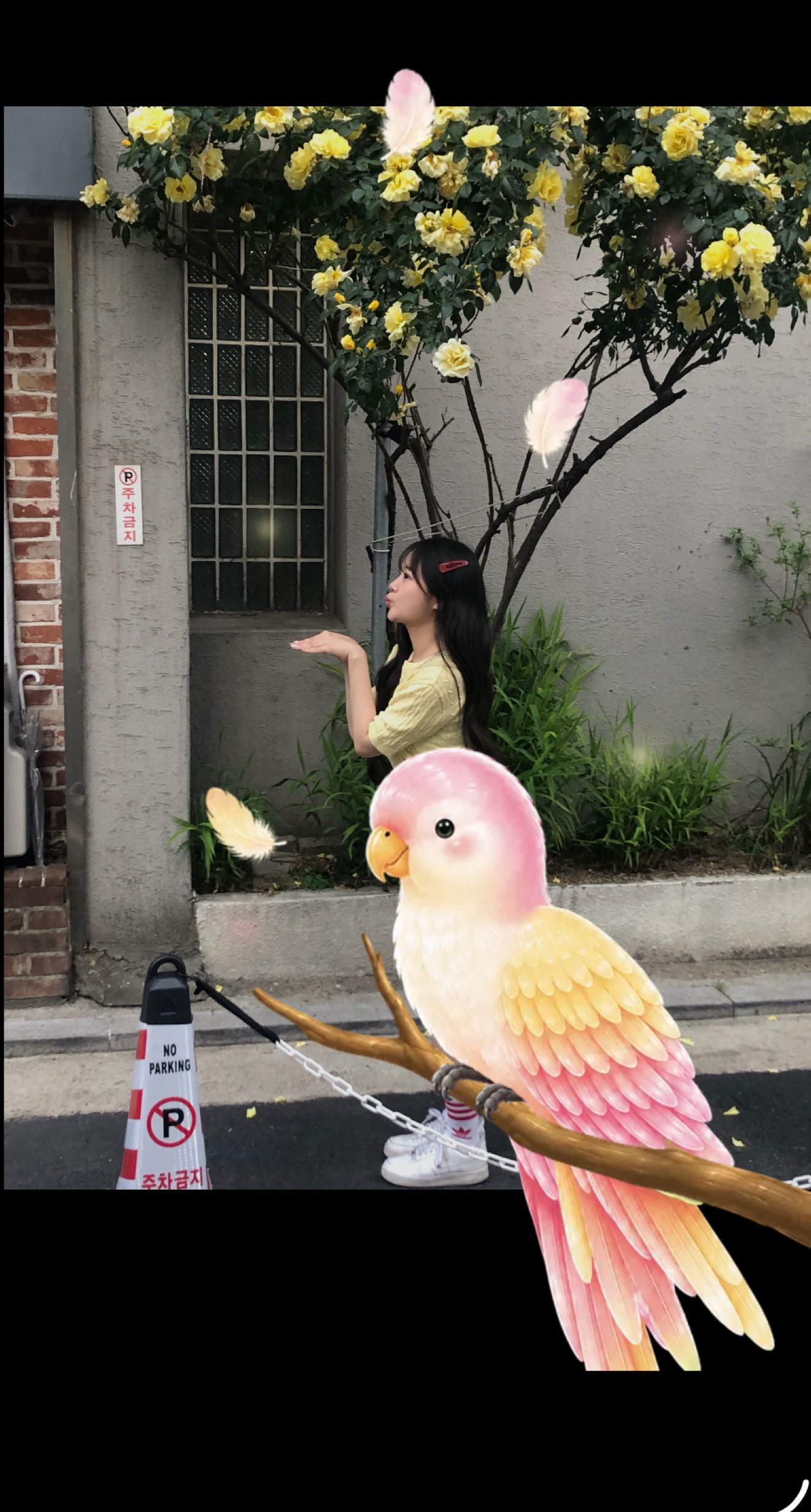 여름 라이브