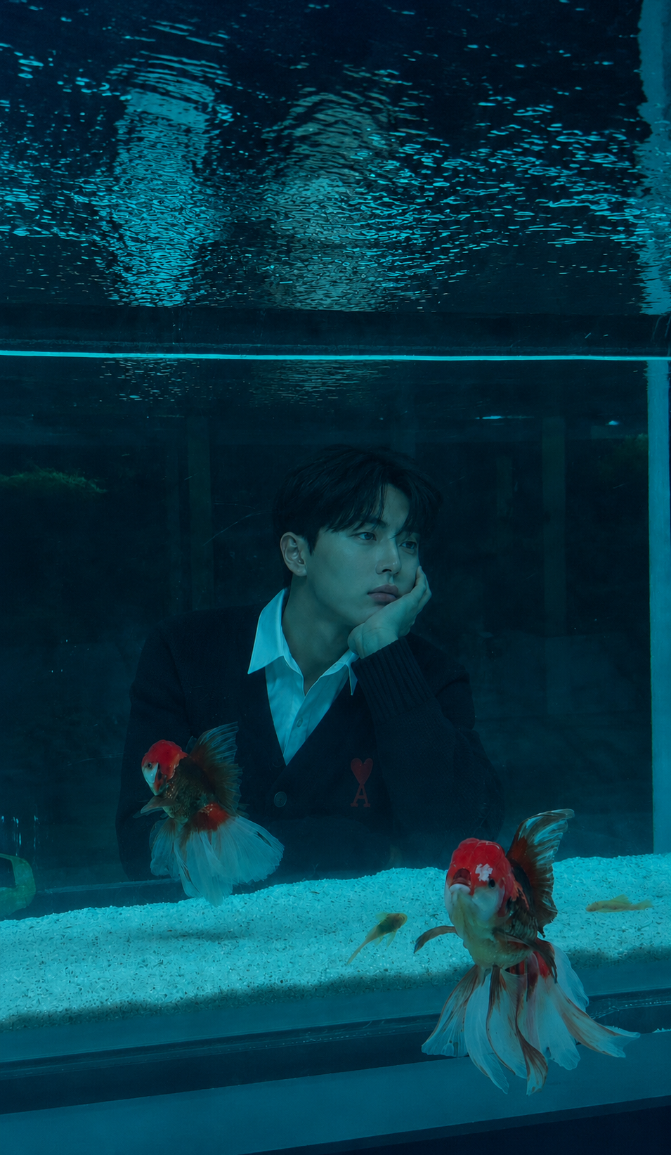 # 굿모닝 복복복