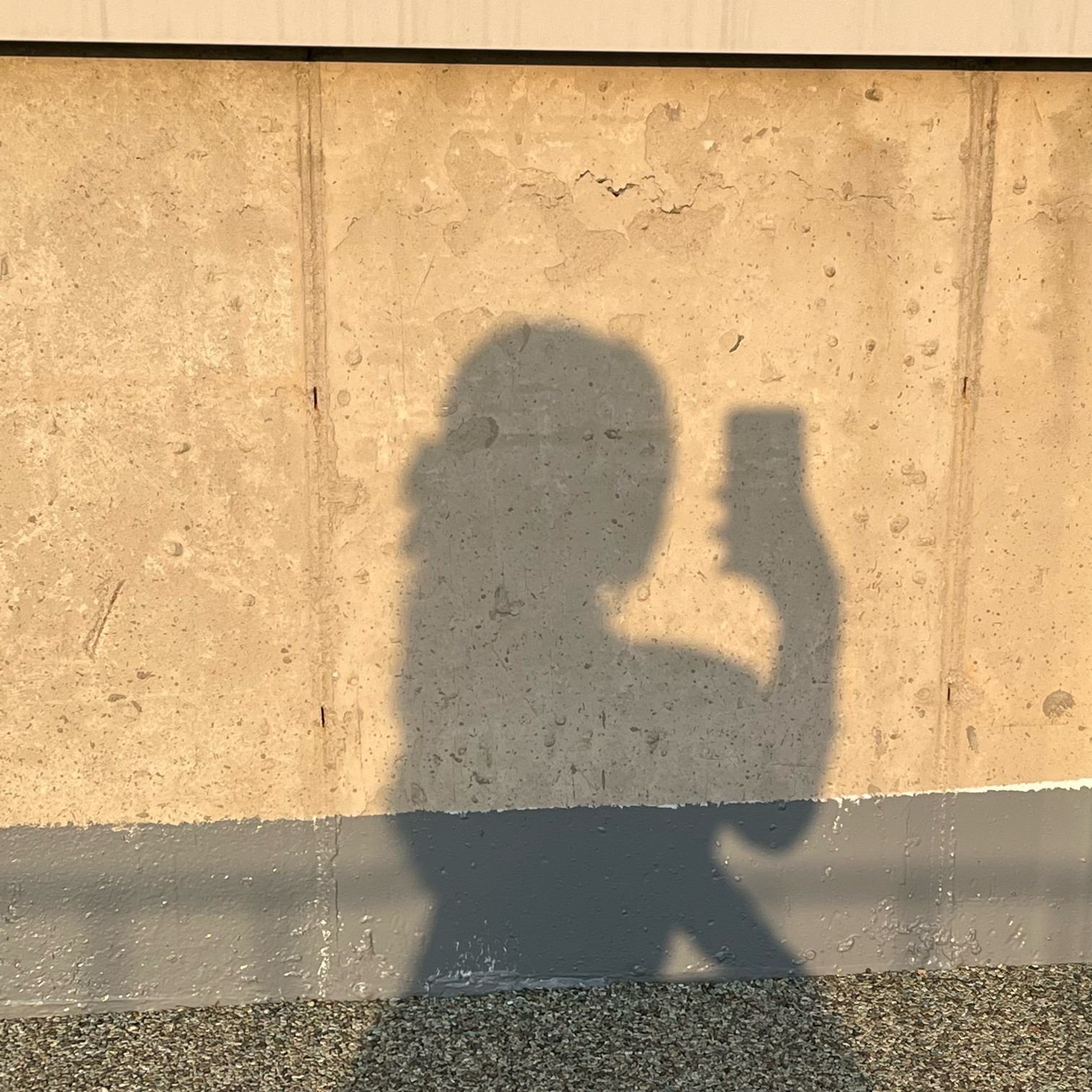 노래가몬지