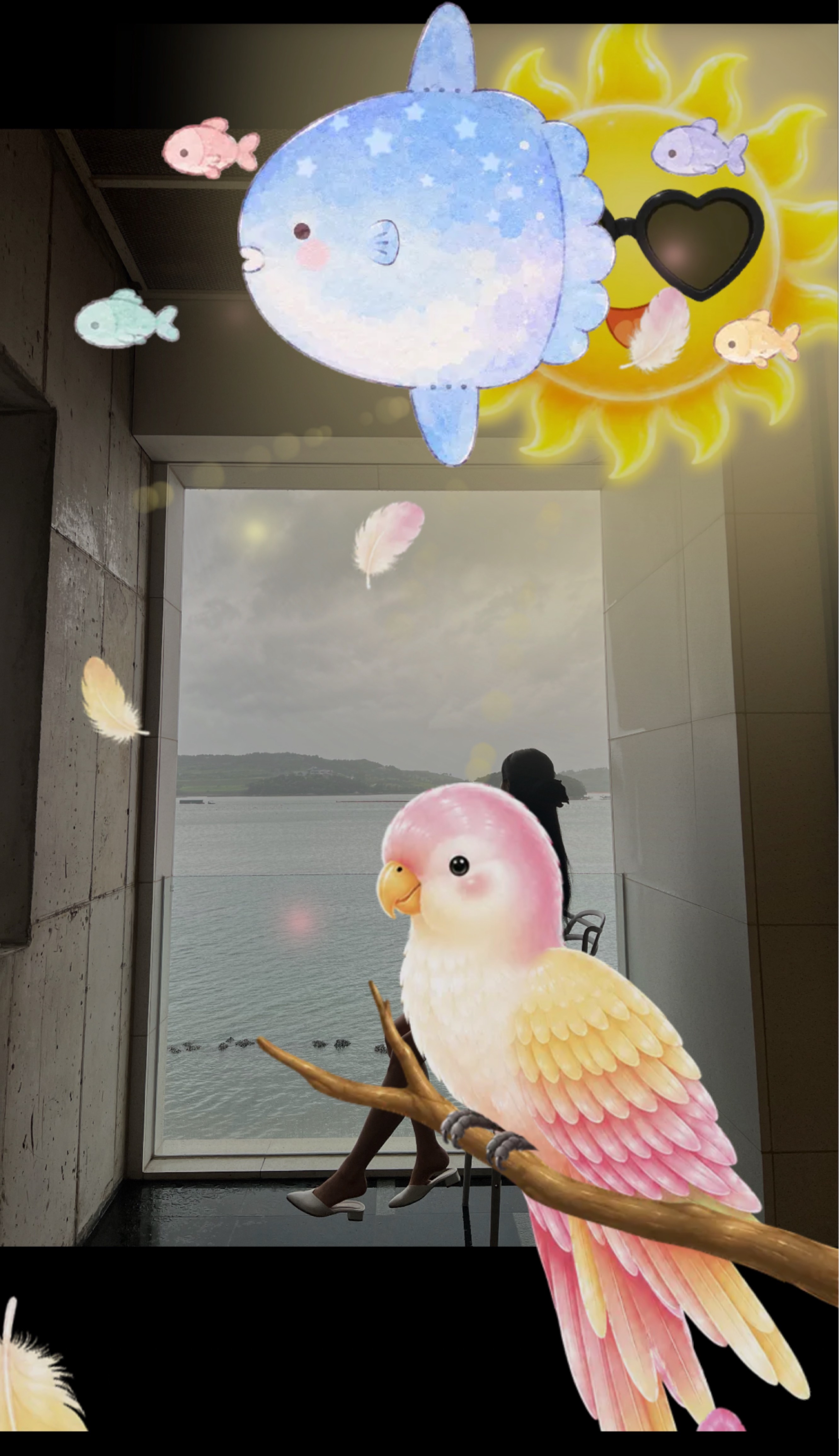 감이와?