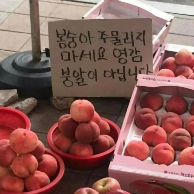반갑수다