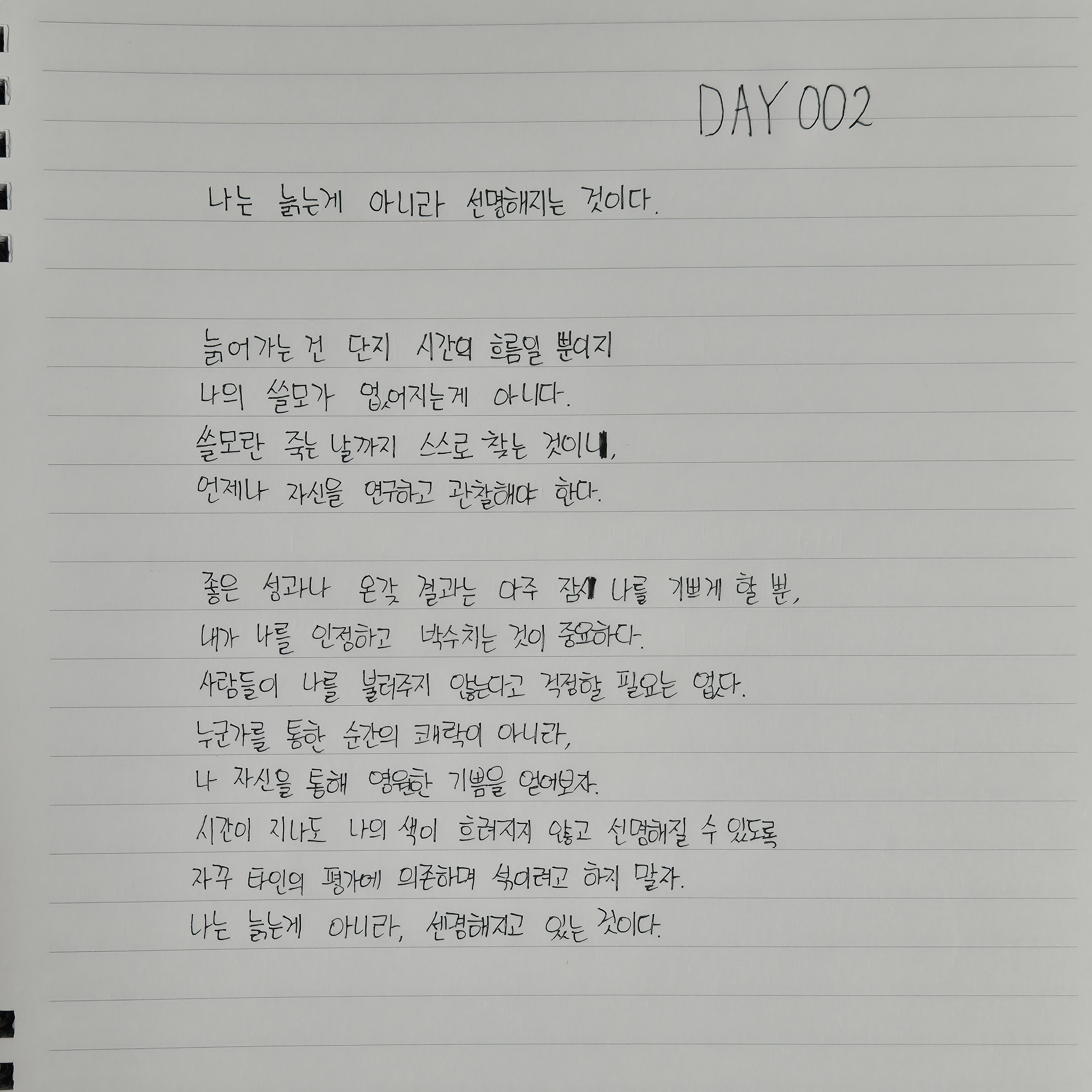 대왕 집 먼지