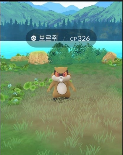 보르쥐를 잡았다!